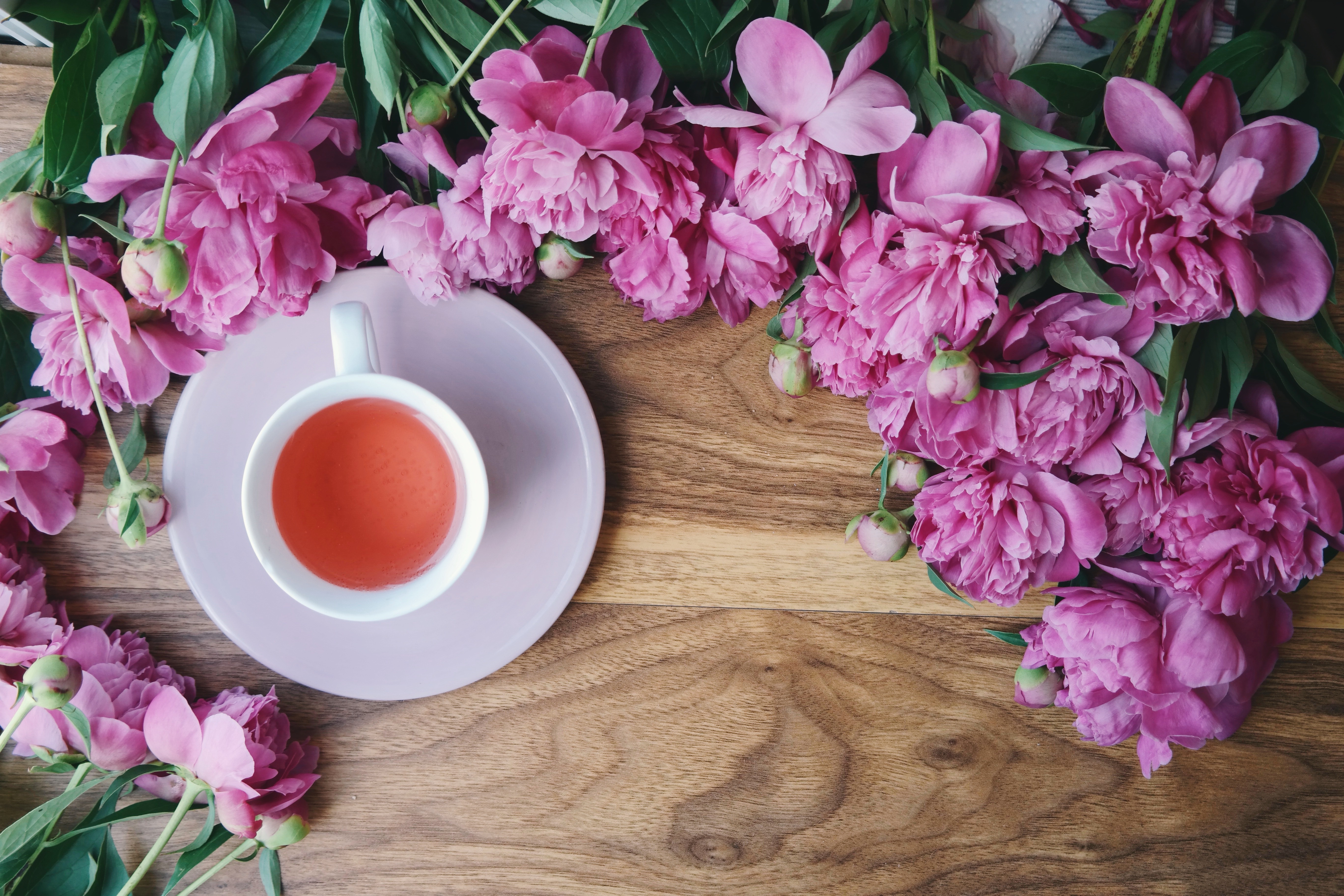 PCデスクトップにカップ, 静物, 花, お茶, 飲む, 食べ物, ピンクの花画像を無料でダウンロード