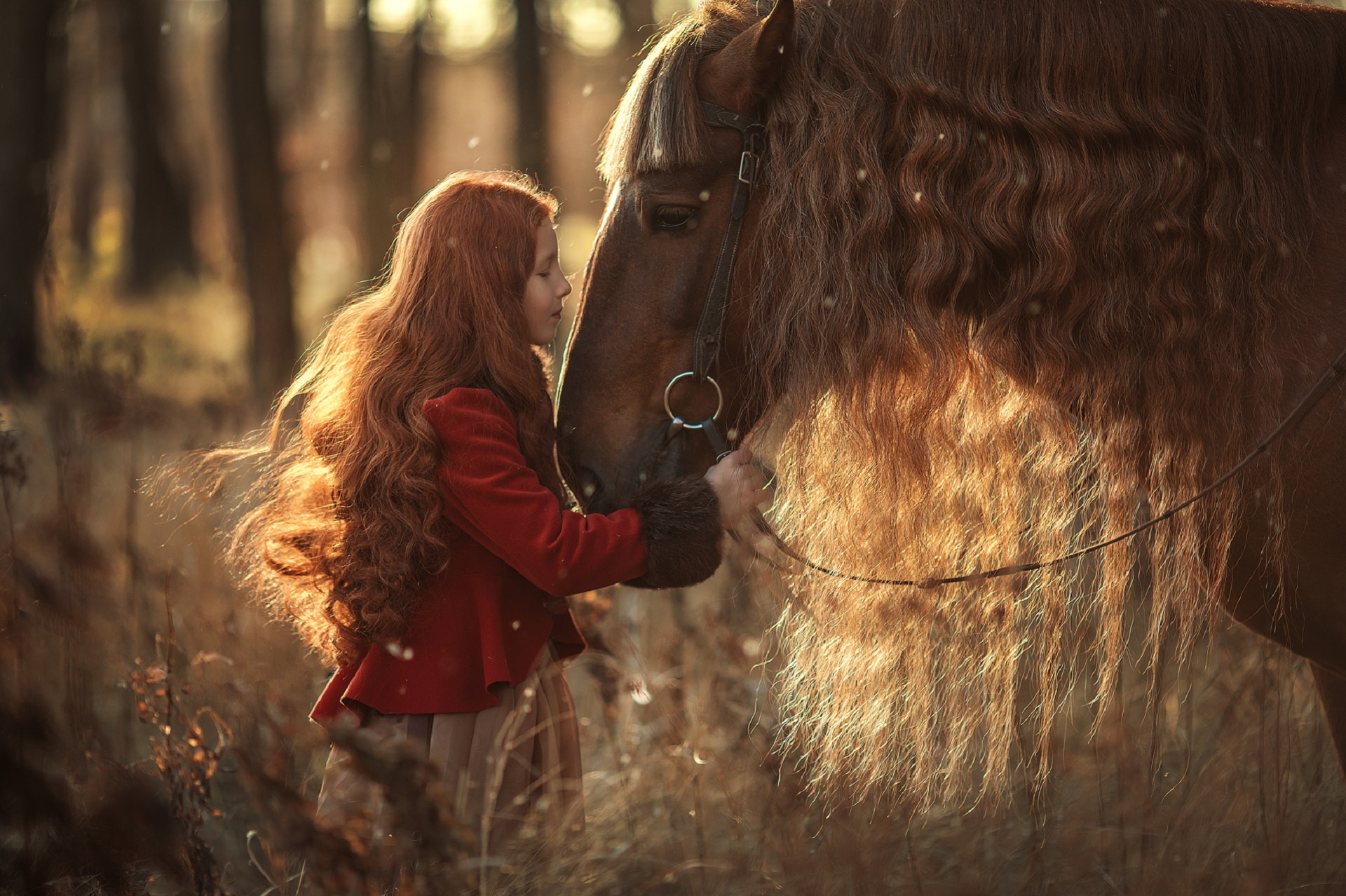 Baixar papel de parede para celular de Natureza, Cabelo, Criança, Cavalo, Fotografia, Ânimo gratuito.