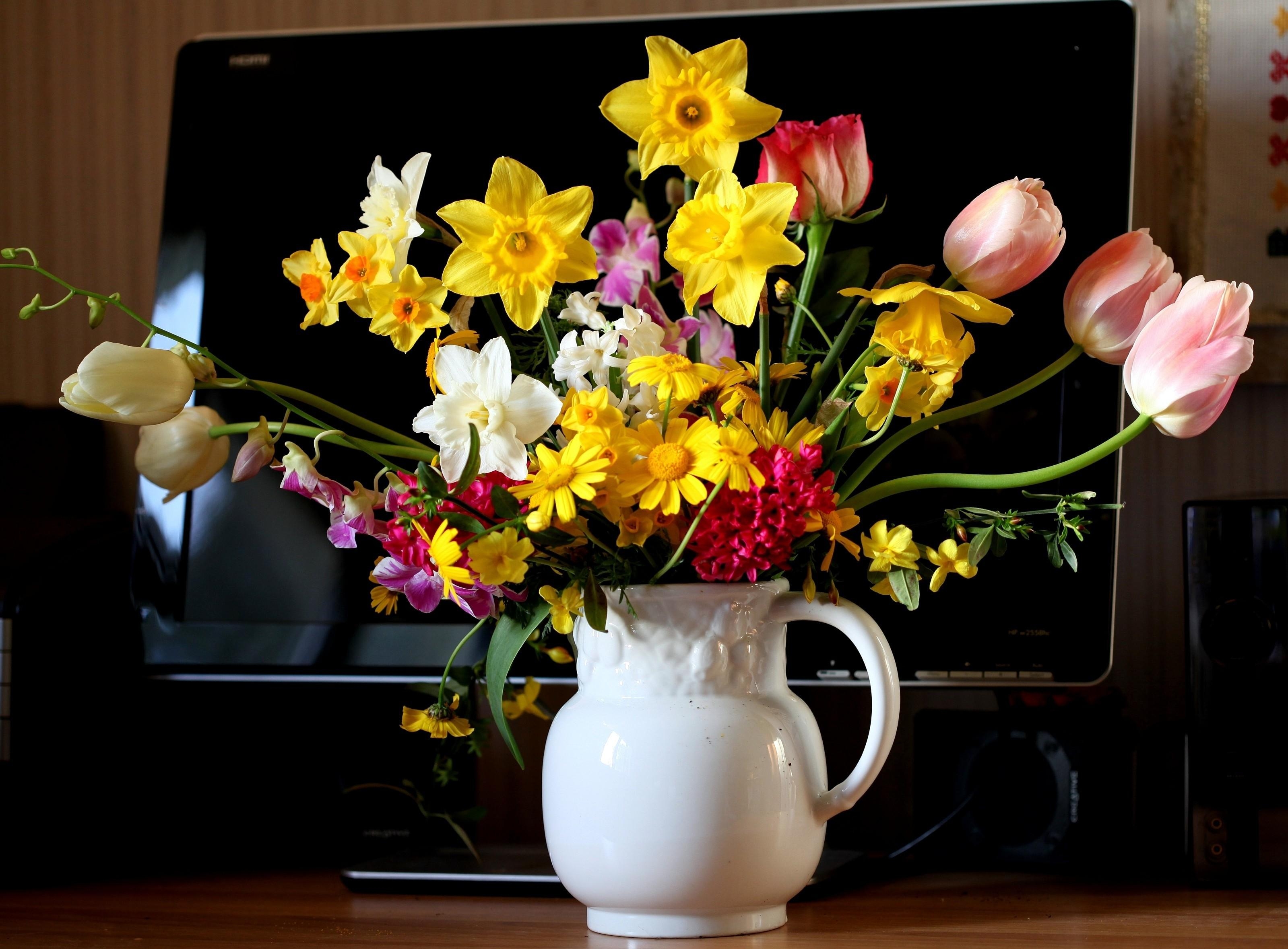 flowers, tulips, narcissussi, hyacinth, bouquet, jug, monitor