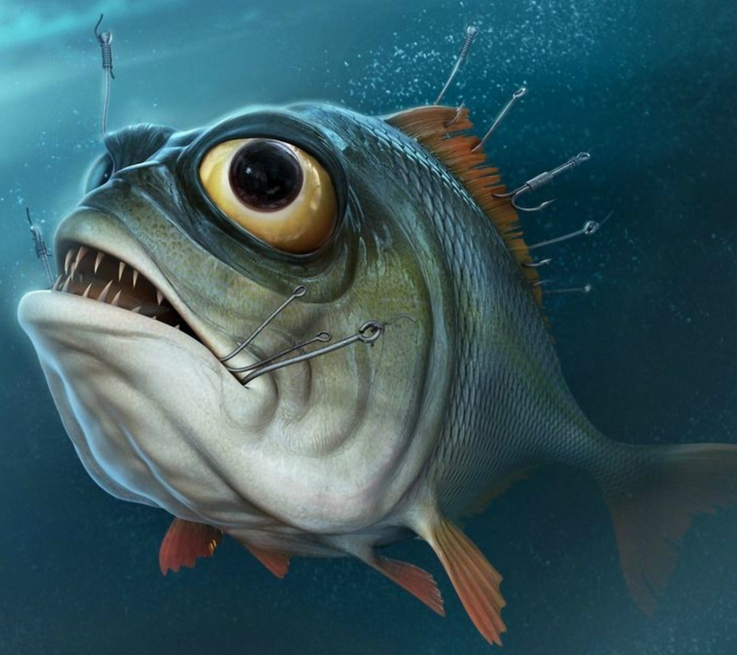 1222029 Bild herunterladen tiere, piranha, fische, fisch - Hintergrundbilder und Bildschirmschoner kostenlos
