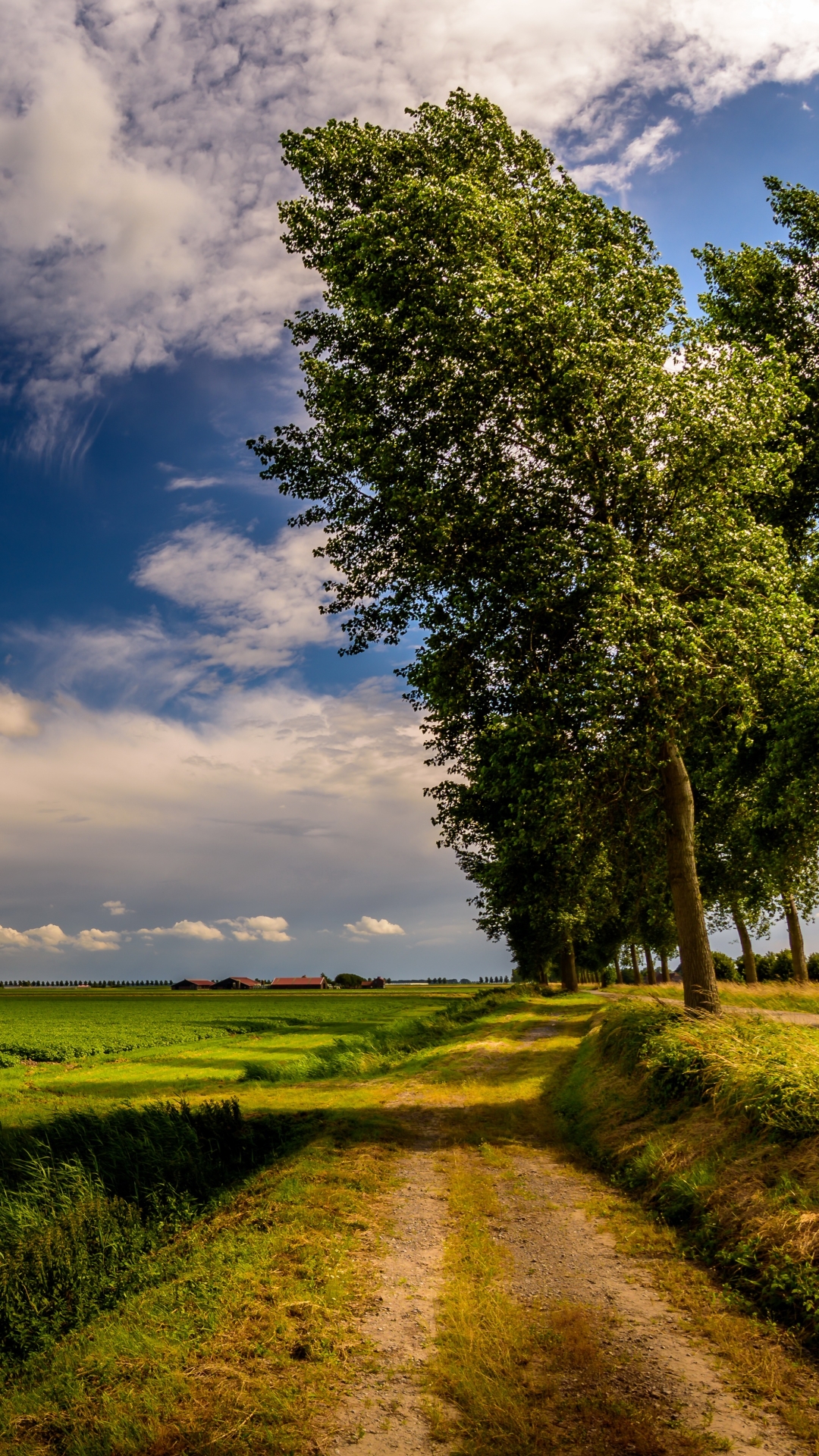 Handy-Wallpaper Landschaft, Natur, Horizont, Feld, Wolke, Himmel, Erde/natur, Schotterstraße kostenlos herunterladen.