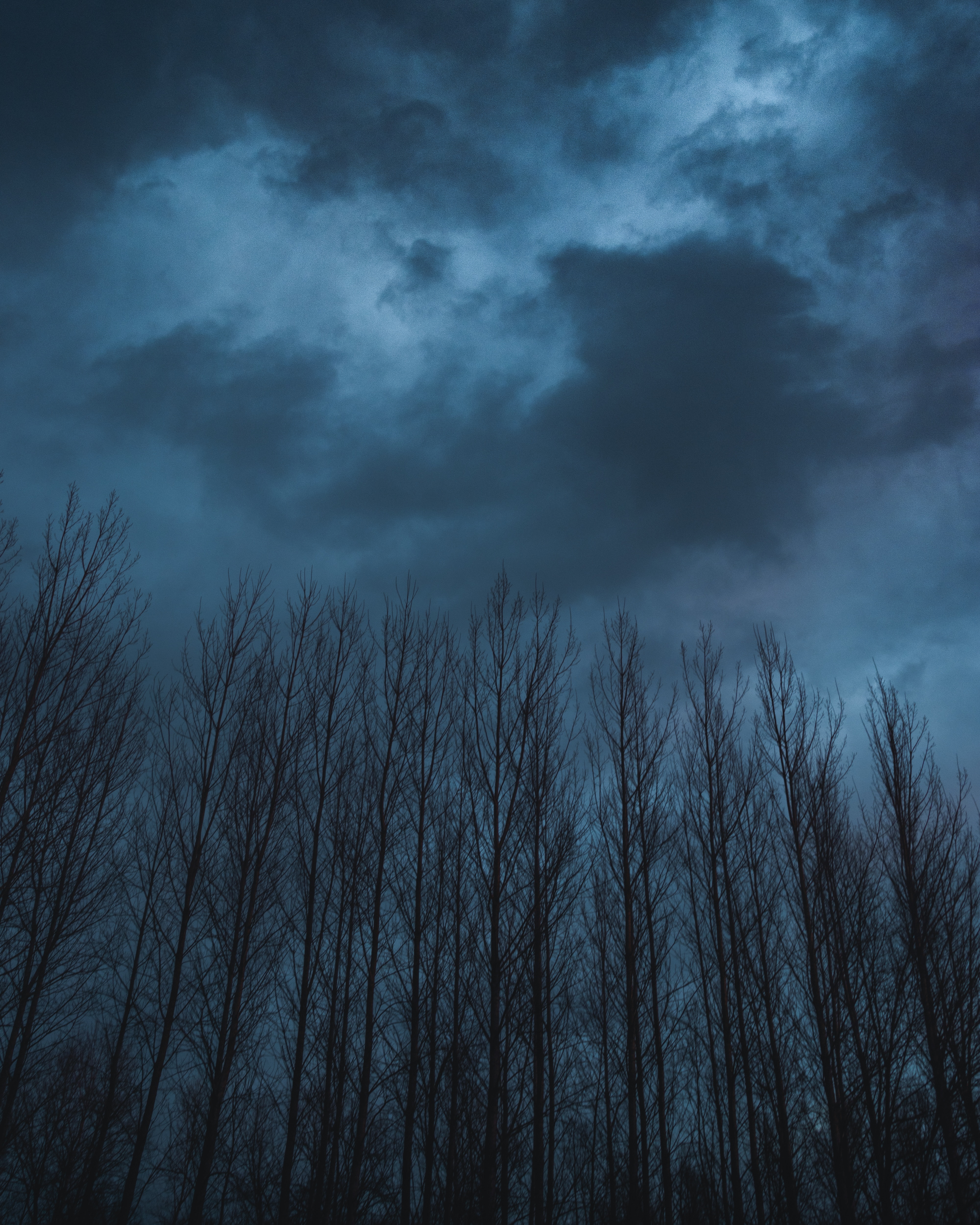 Download mobile wallpaper Clouds, Sky, Trees, Nature, Dark for free.