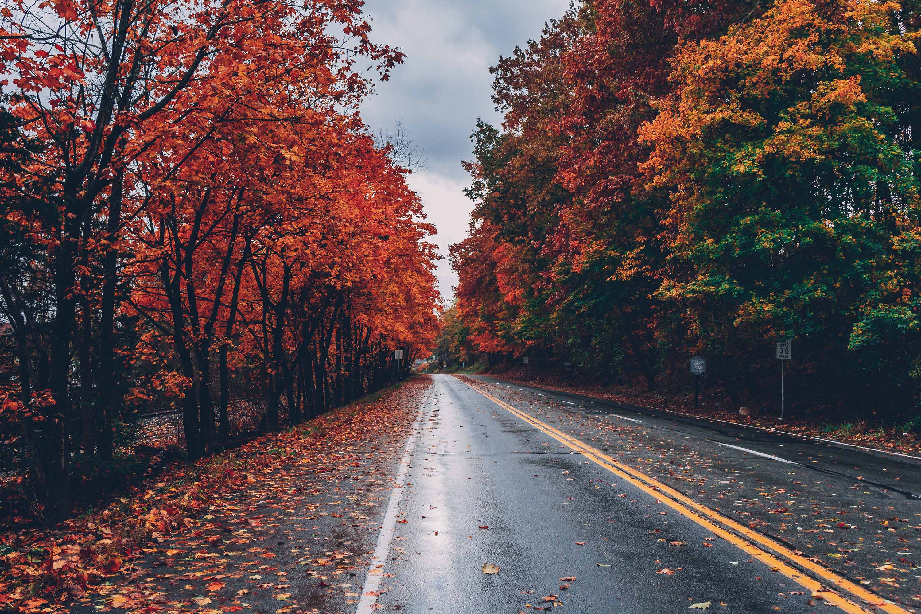 Descarga gratuita de fondo de pantalla para móvil de Carretera, Hecho Por El Hombre.