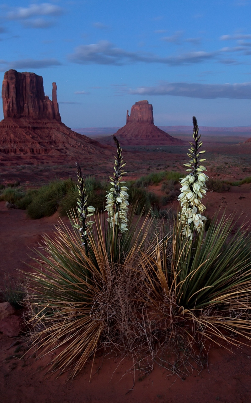 Download mobile wallpaper Landscape, Nature, Desert, Usa, Earth, Monument Valley for free.