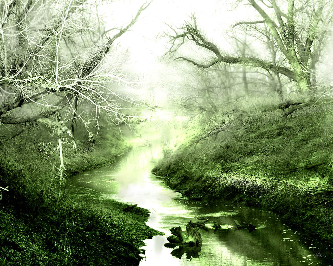 Скачать картинку Река, Дерево, Земля/природа в телефон бесплатно.
