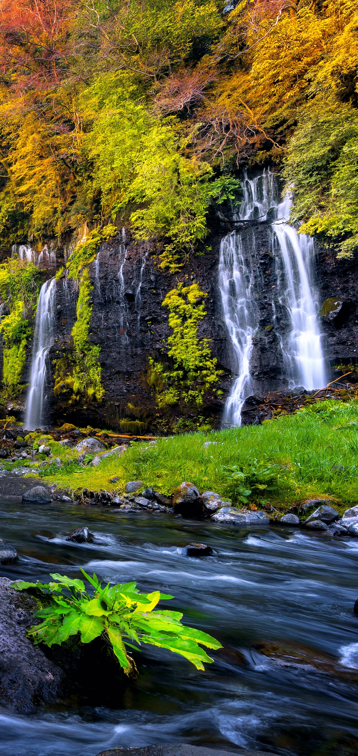 Скачать картинку Осень, Водопады, Водопад, Падать, Земля/природа в телефон бесплатно.