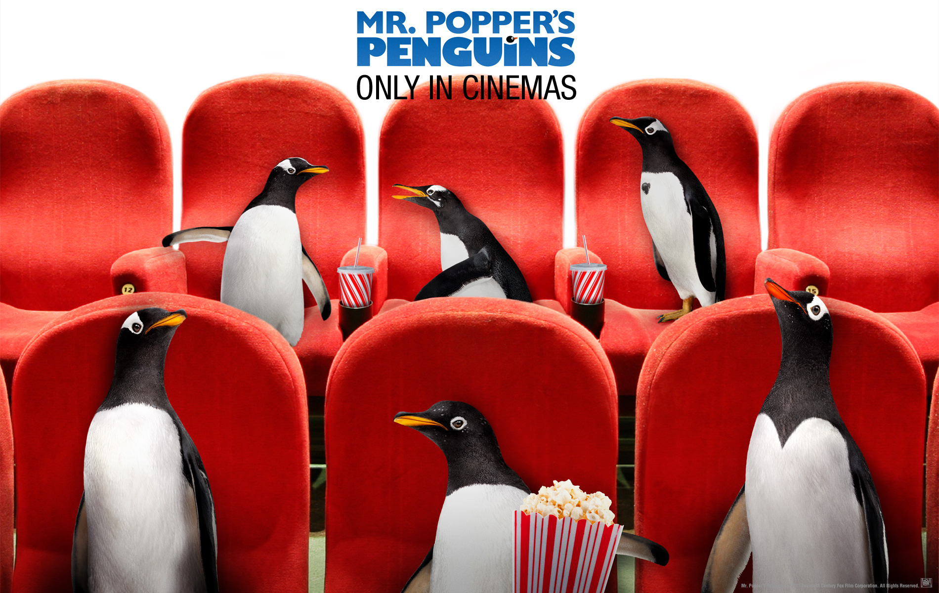561221壁紙のダウンロード映画, ポッパー氏のペンギン, ペンギン-スクリーンセーバーと写真を無料で