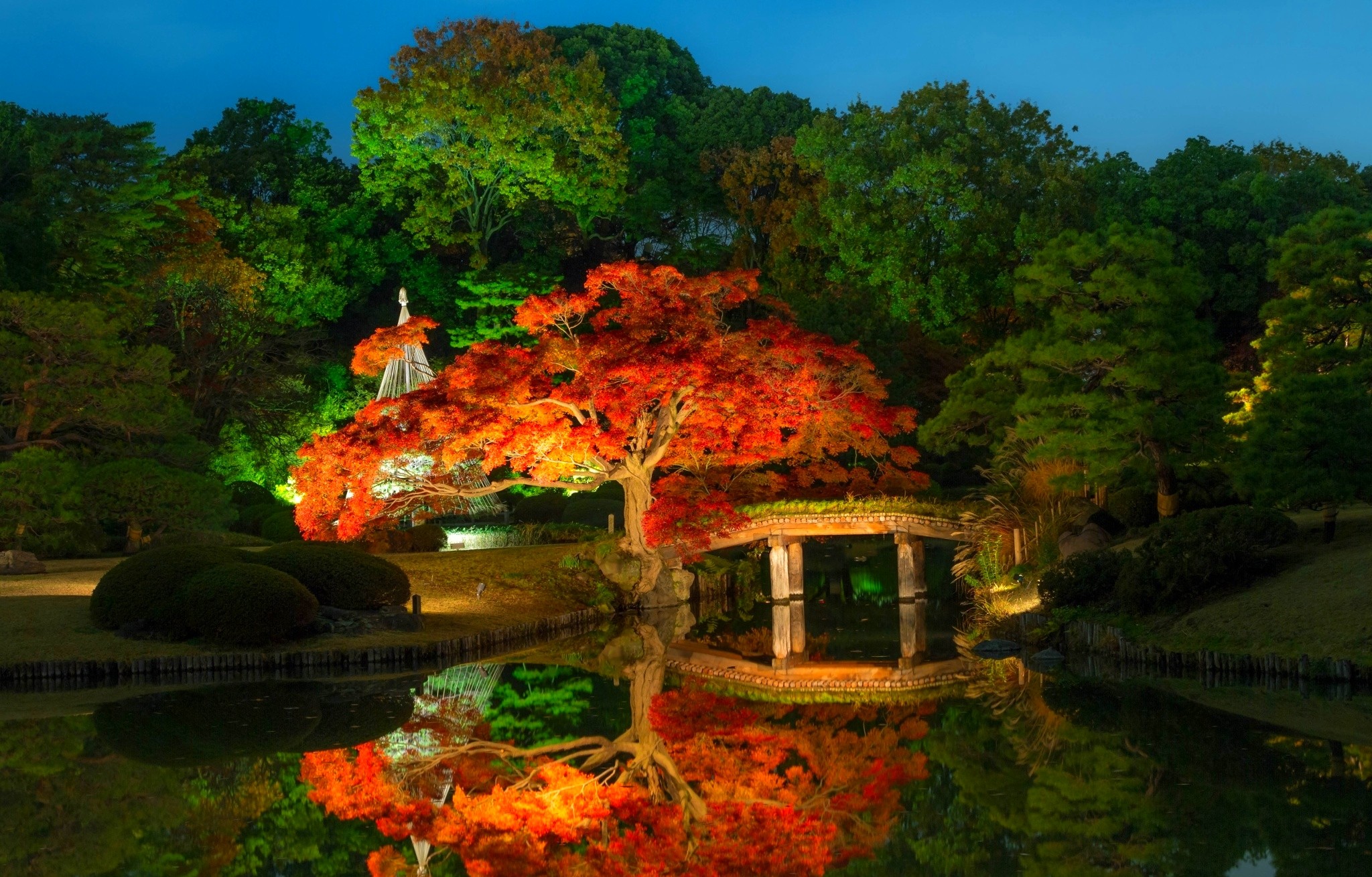 PCデスクトップに橋, 木, 秋, 反射, 光, 公園, 池, 夜, 写真撮影画像を無料でダウンロード