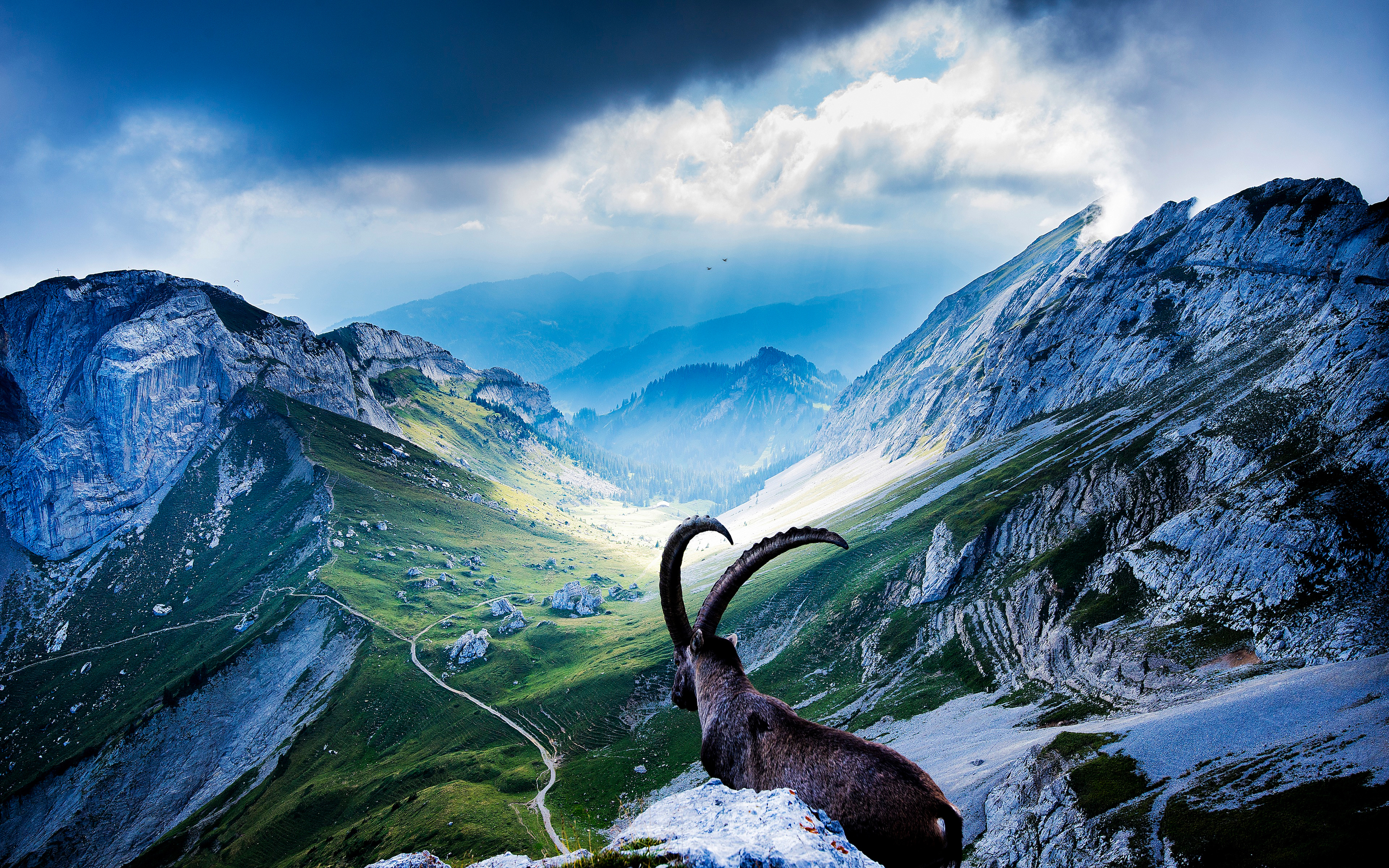 1522714 завантажити шпалери тварина, козерог альпійський, коза, пейзаж, гора пілатус, гора, швейцарія - заставки і картинки безкоштовно