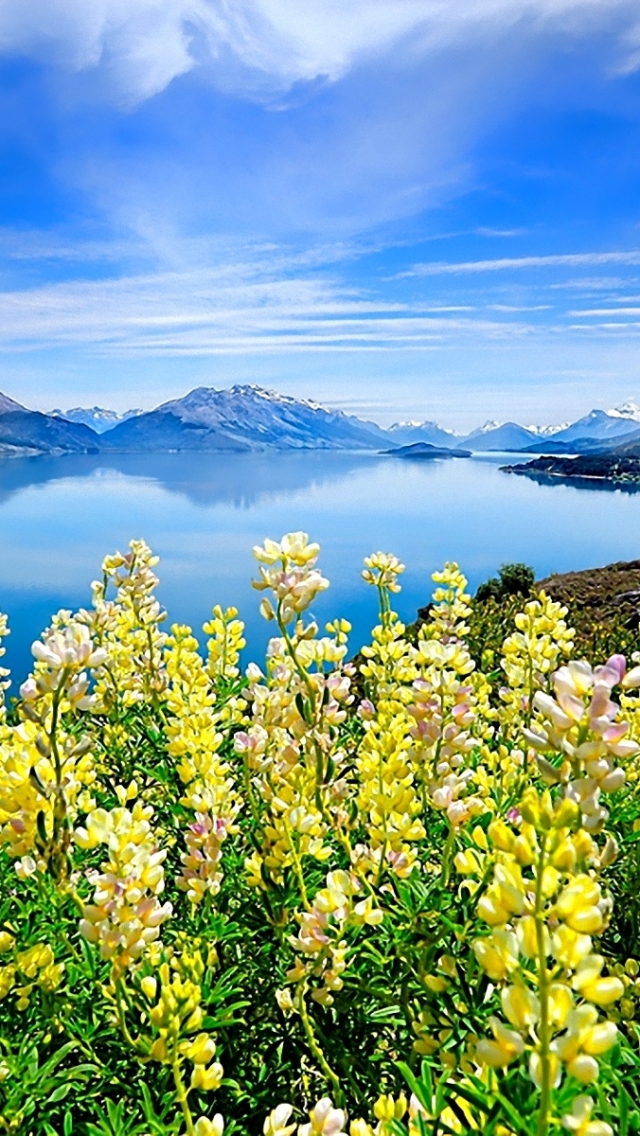 Download mobile wallpaper Landscape, Sky, Mountain, Lake, Reflection, Flower, Earth, Cloud for free.