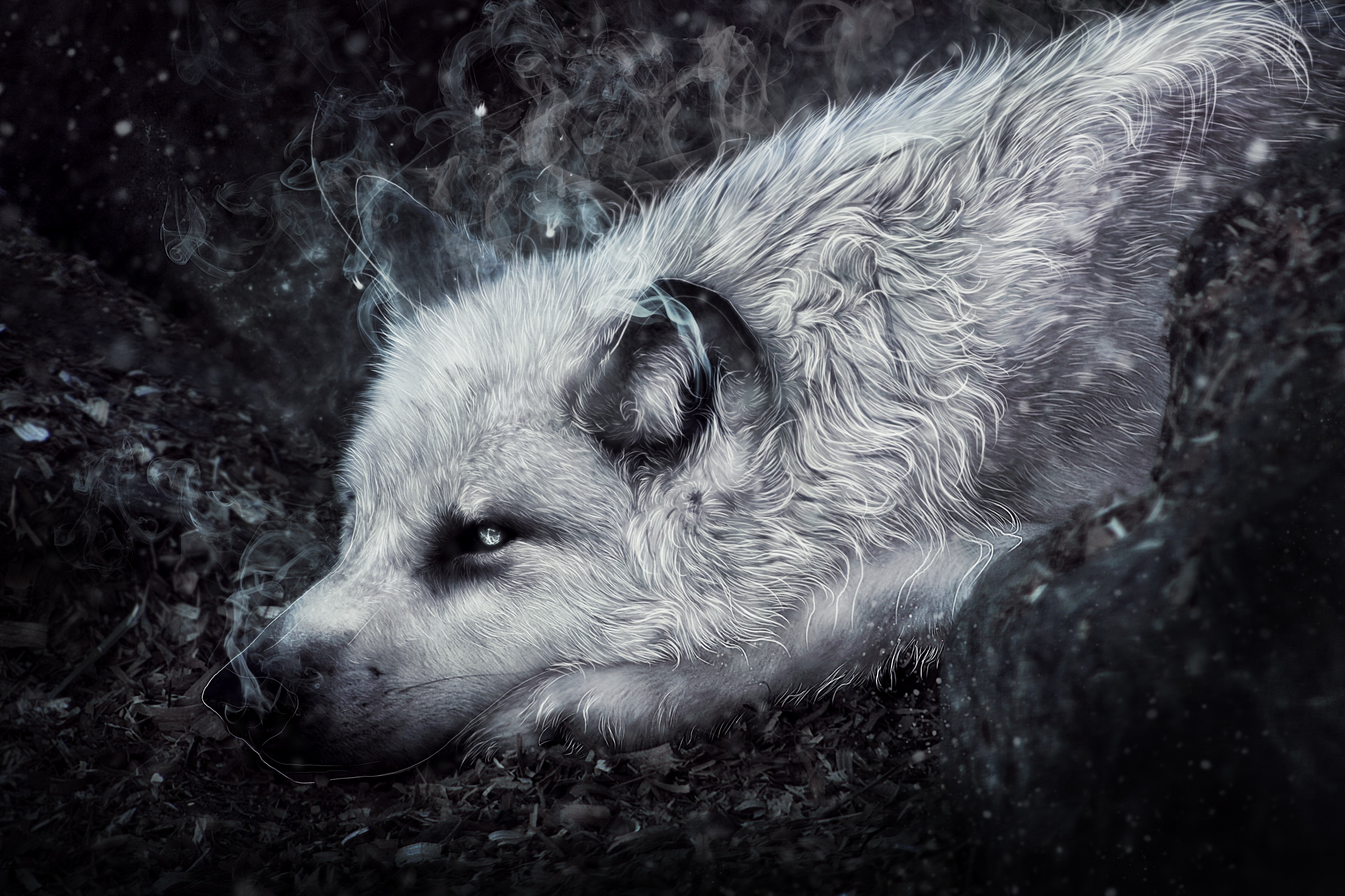 Download mobile wallpaper Fantasy, Wolf, Fantasy Animals for free.