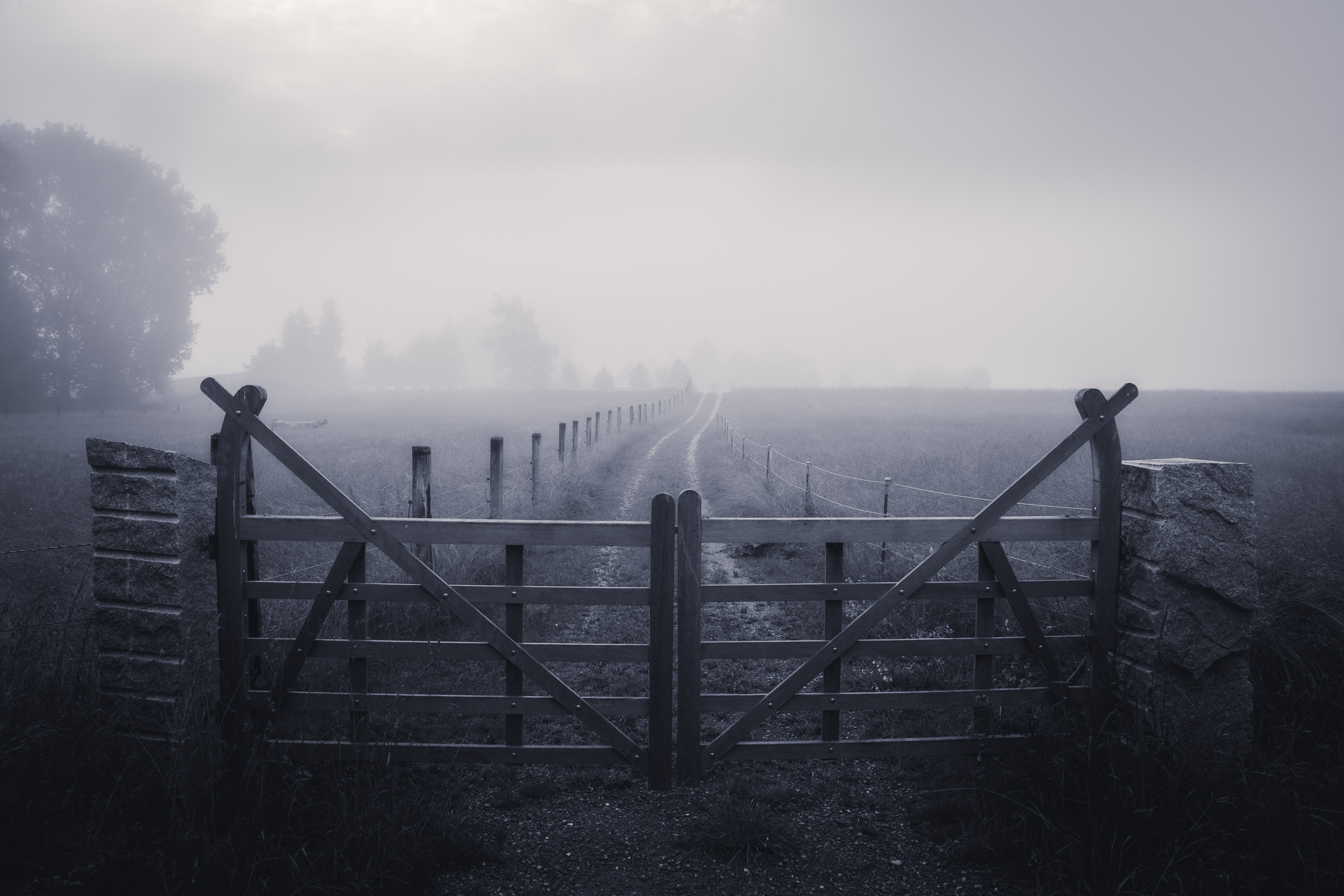 Download mobile wallpaper Grass, Fence, Nature, Road, Fog for free.