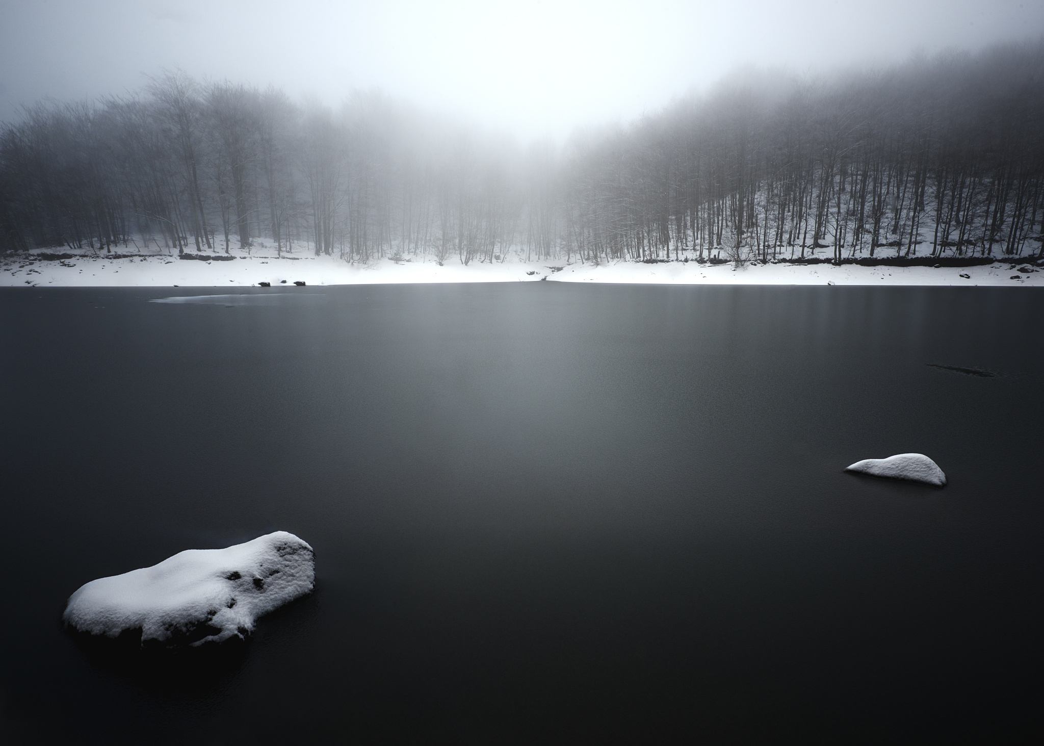 Baixe gratuitamente a imagem Inverno, Natureza, Lagos, Lago, Floresta, Terra/natureza, Neblina na área de trabalho do seu PC