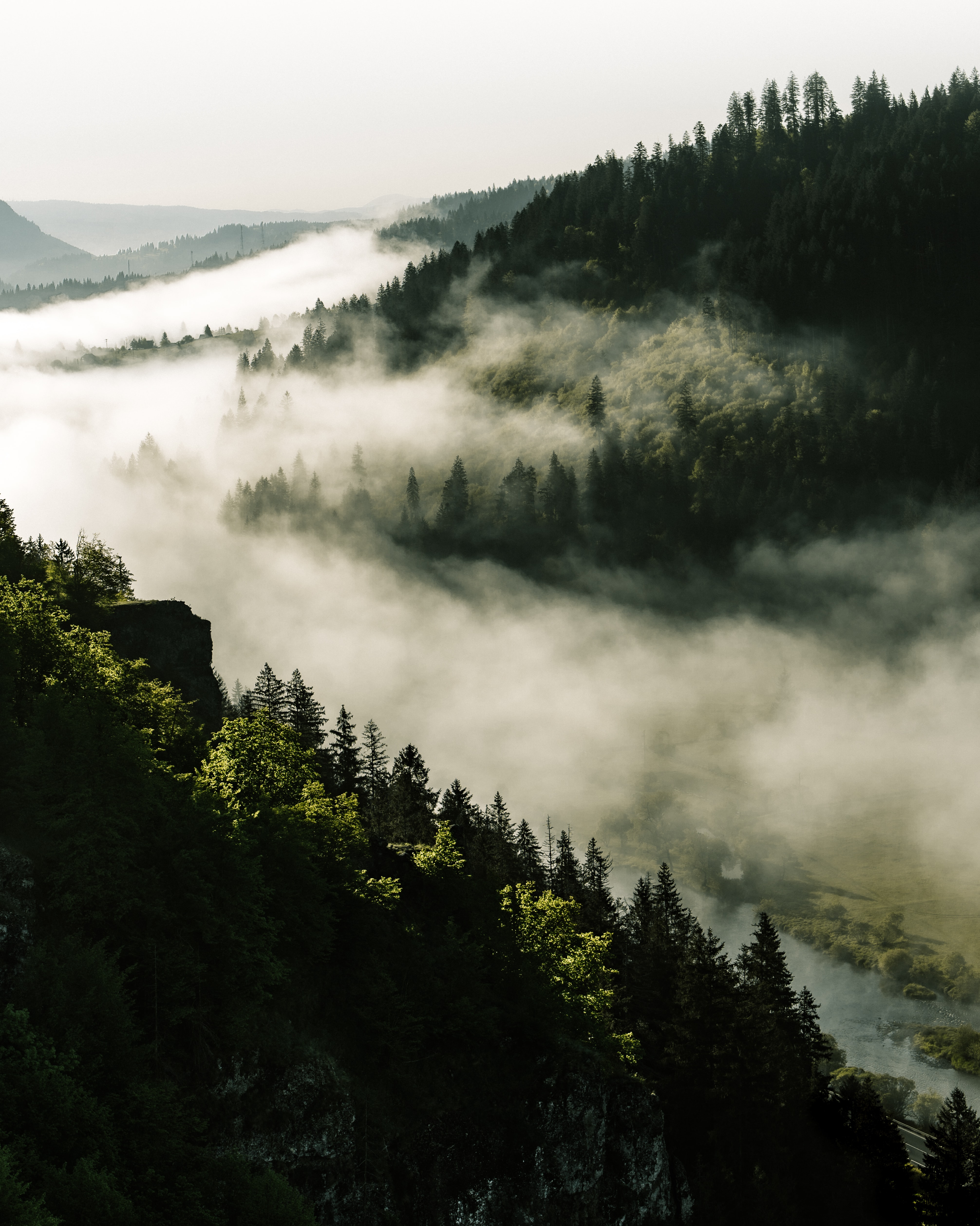 Laden Sie das Wald, Nebel, Die Hügel, Hügel, Natur, Bäume-Bild kostenlos auf Ihren PC-Desktop herunter