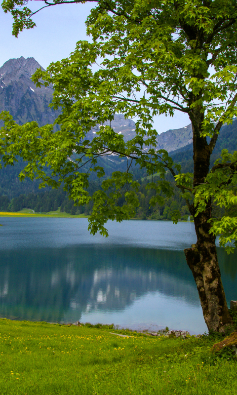 Download mobile wallpaper Lakes, Lake, Earth for free.