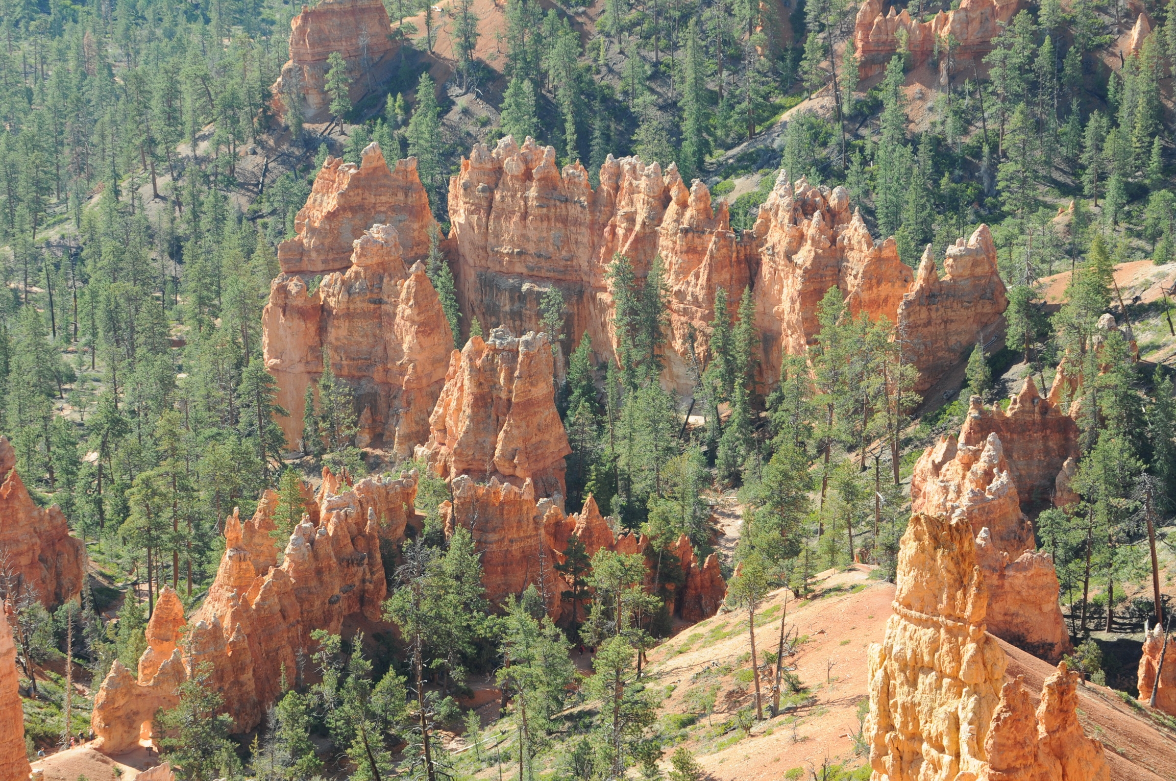 Скачать обои Bryce Canyon Utah на телефон бесплатно