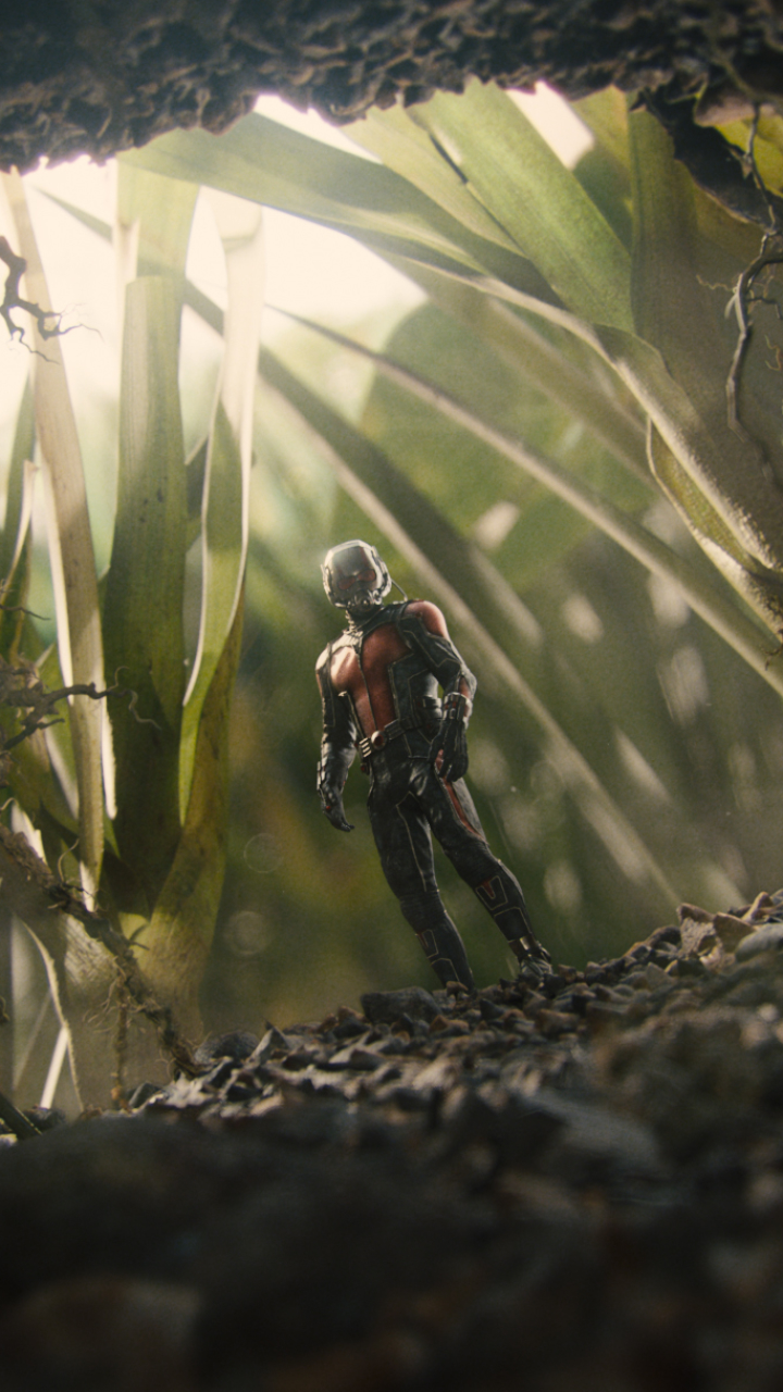 Handy-Wallpaper Filme, Ant Man kostenlos herunterladen.