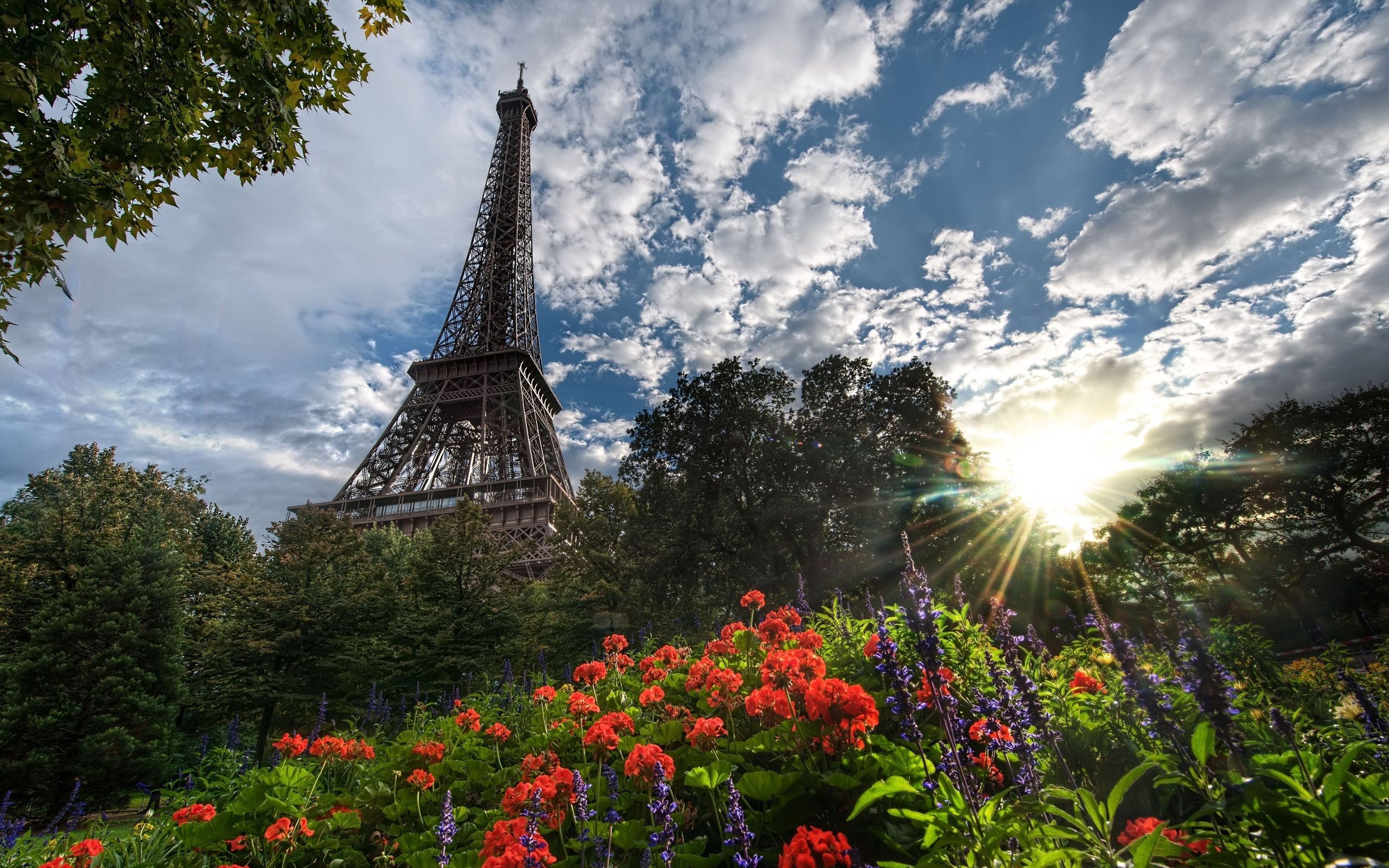 paris, sun, eiffel tower, cities, flowers, trees HD wallpaper