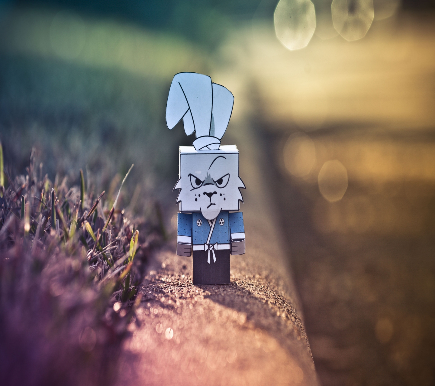 Laden Sie das Kaninchen, Makro, Karikatur, Hase, Fotografie, Manipulation-Bild kostenlos auf Ihren PC-Desktop herunter