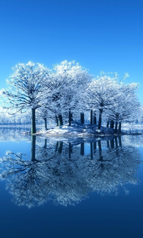 Download mobile wallpaper Winter, Lake, Reflection, Tree, Earth for free.