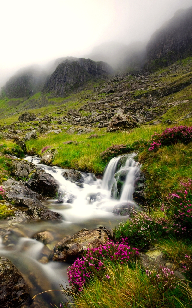 Download mobile wallpaper Waterfalls, Mountain, Flower, Waterfall, Fog, Earth, Stream for free.