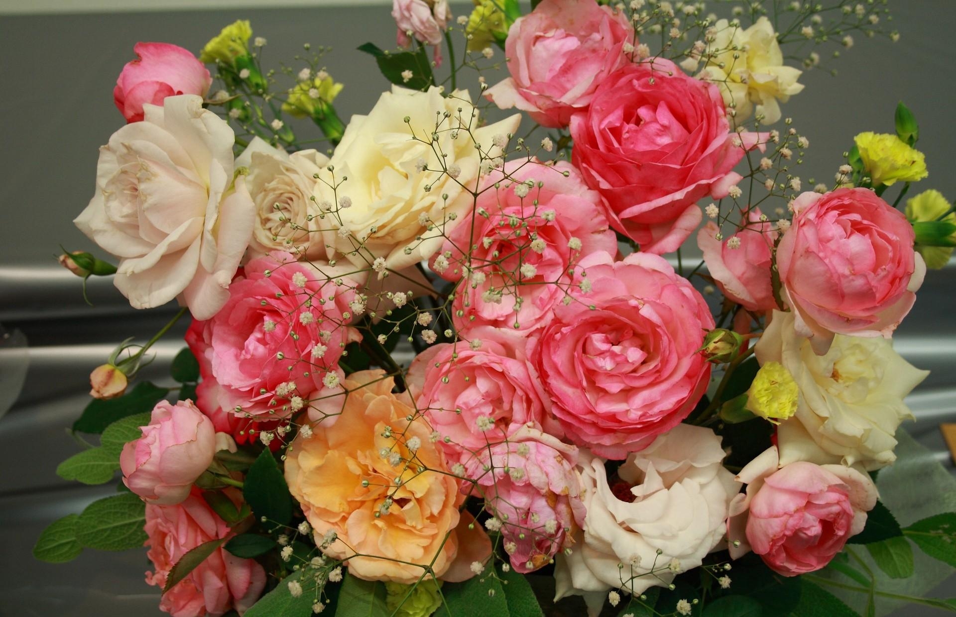 garden, bouquet, flowers, roses, gypsophilus, gipsophile