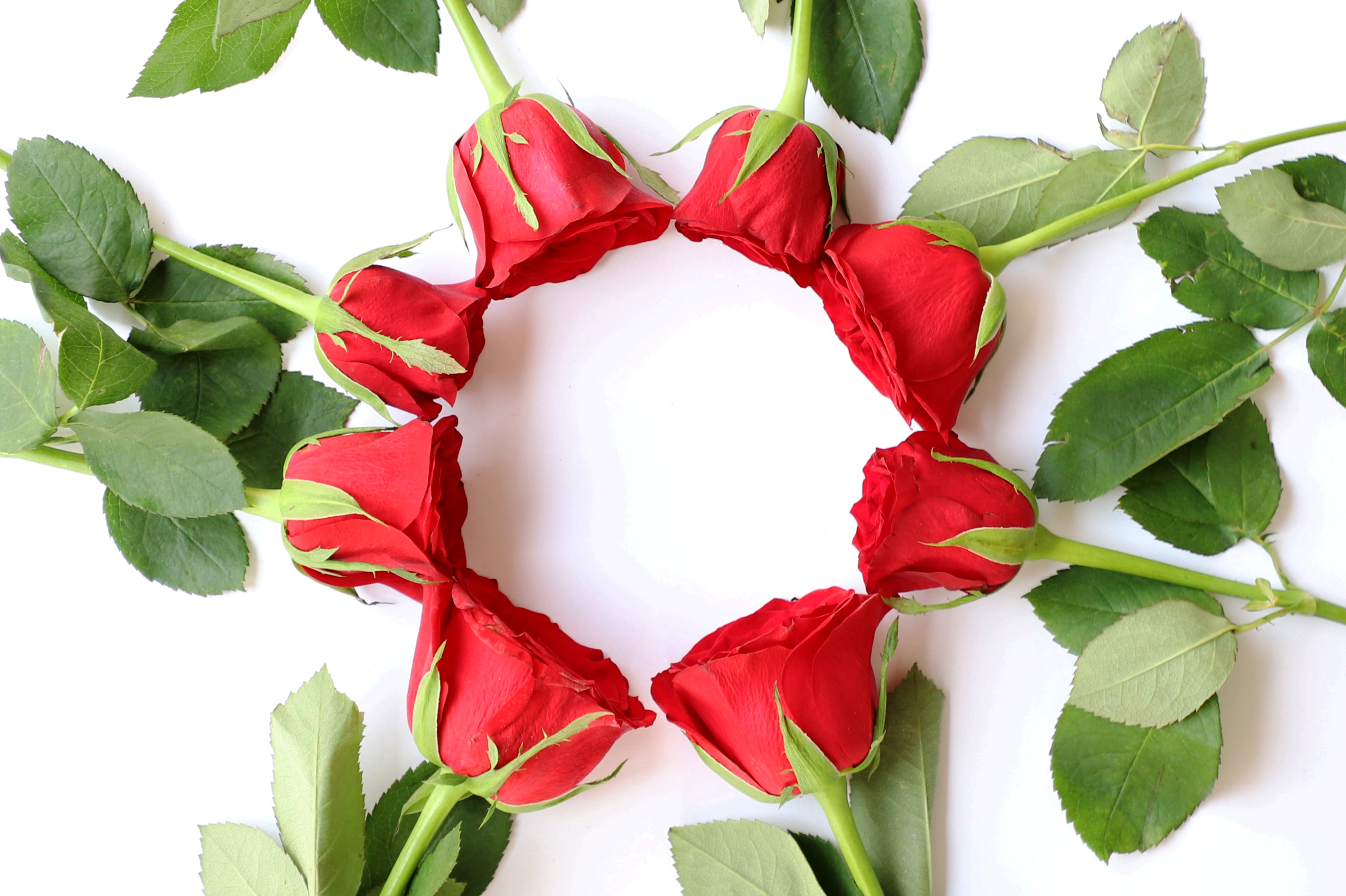 Baixe gratuitamente a imagem Rosa, Flor, Flor Vermelha, Feito Pelo Homem na área de trabalho do seu PC