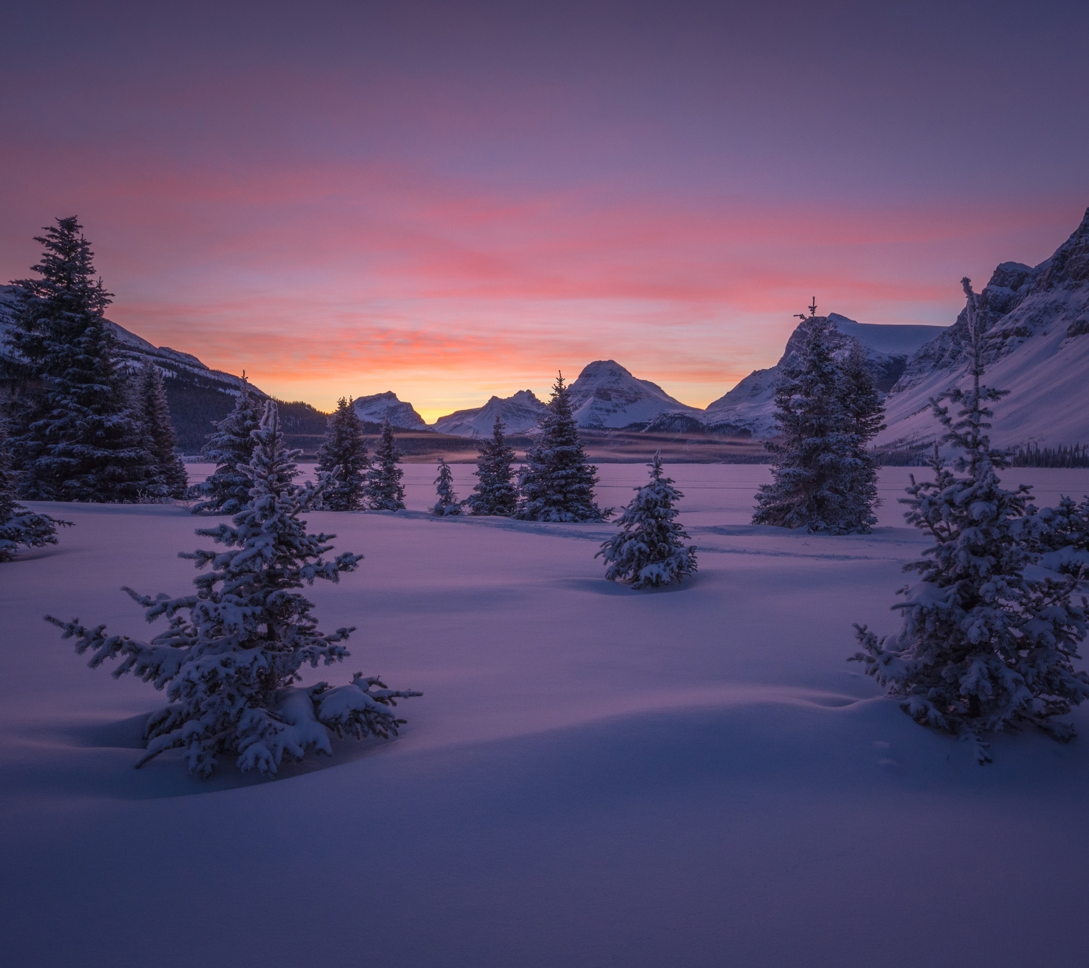 PCデスクトップに風景, 冬, 自然, 木, 雪, 日の出, 地球画像を無料でダウンロード