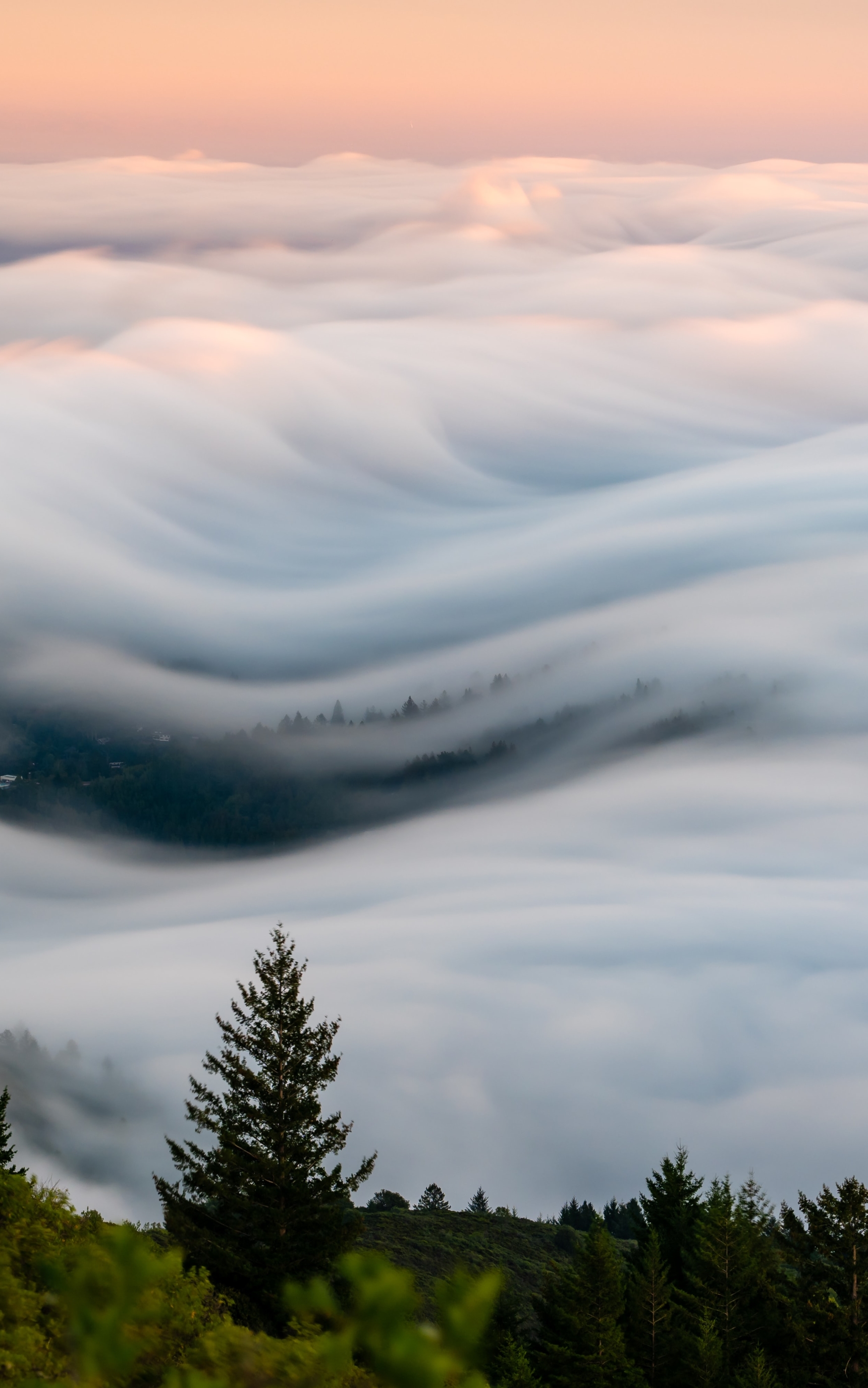 Descarga gratuita de fondo de pantalla para móvil de Niebla, Tierra/naturaleza, Mar De Nubes.