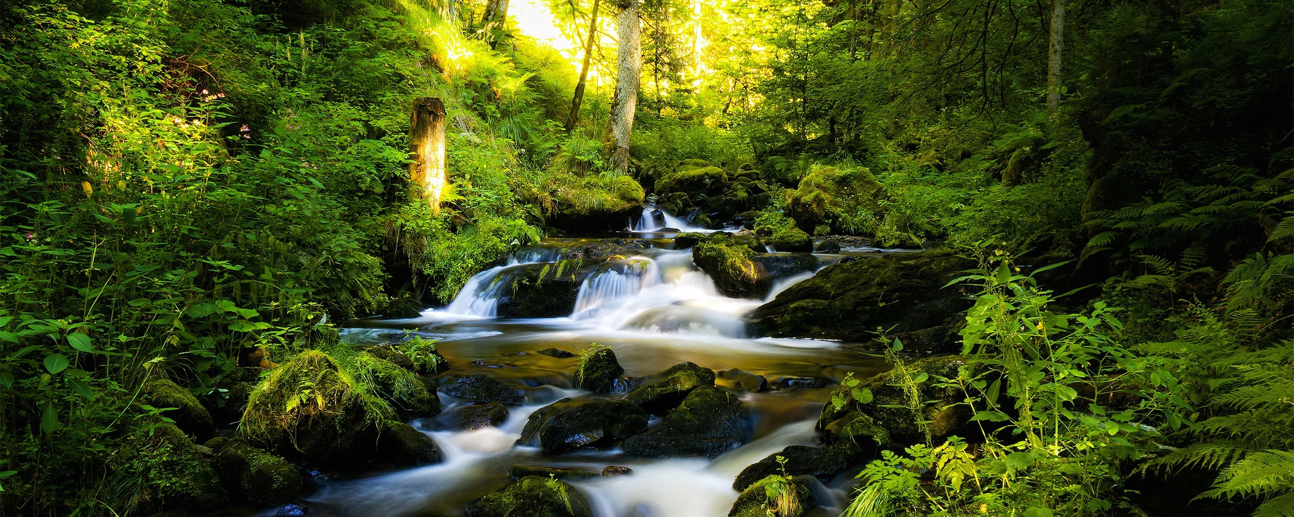 Descarga gratuita de fondo de pantalla para móvil de Chorro, Tierra/naturaleza.