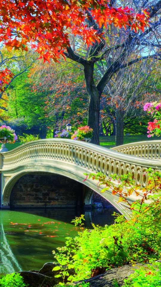 無料モバイル壁紙橋, 花, 公園, ブリッジ, 春, 中央公園, マンメイドをダウンロードします。