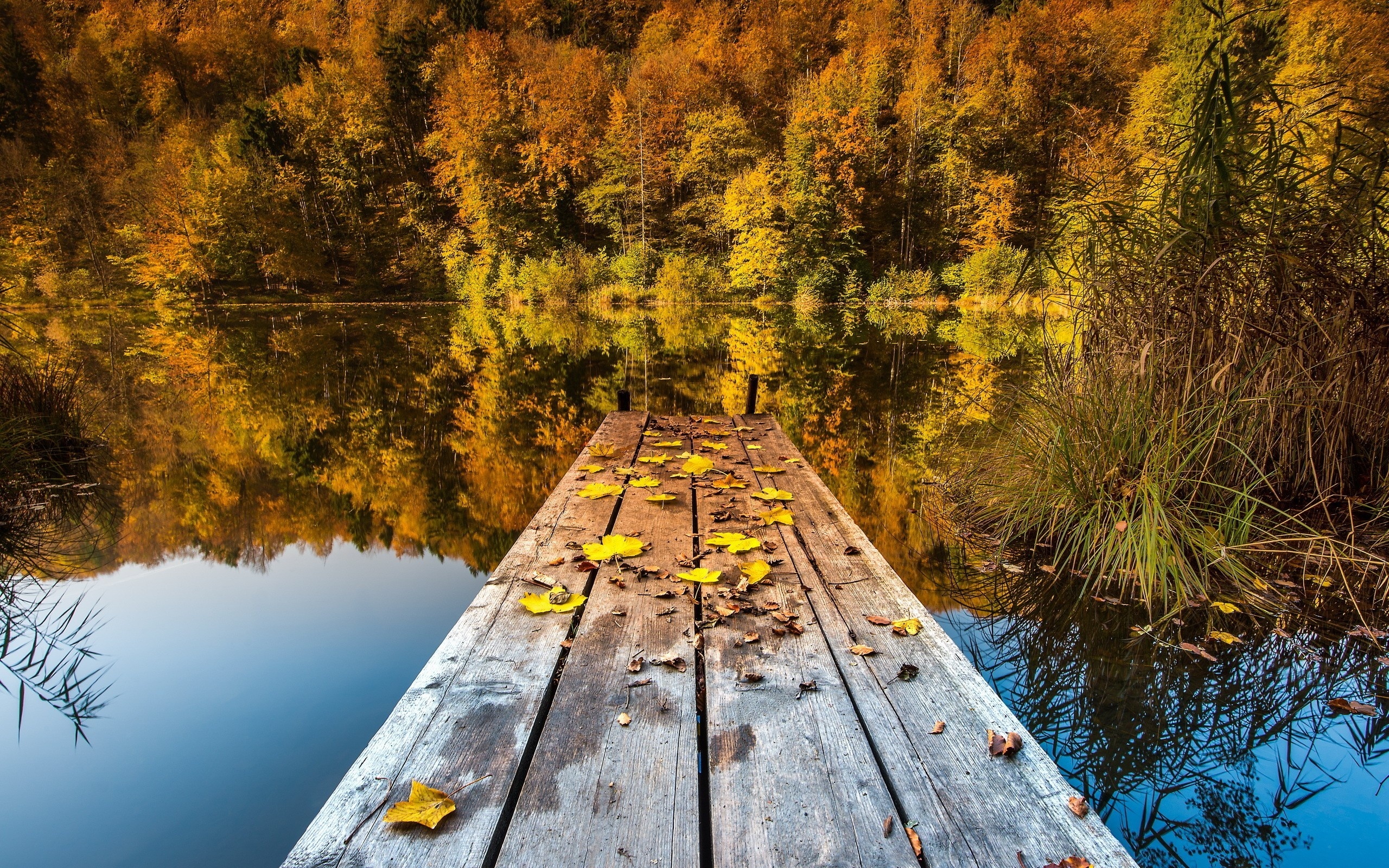 Download mobile wallpaper Pier, Fall, Photography for free.