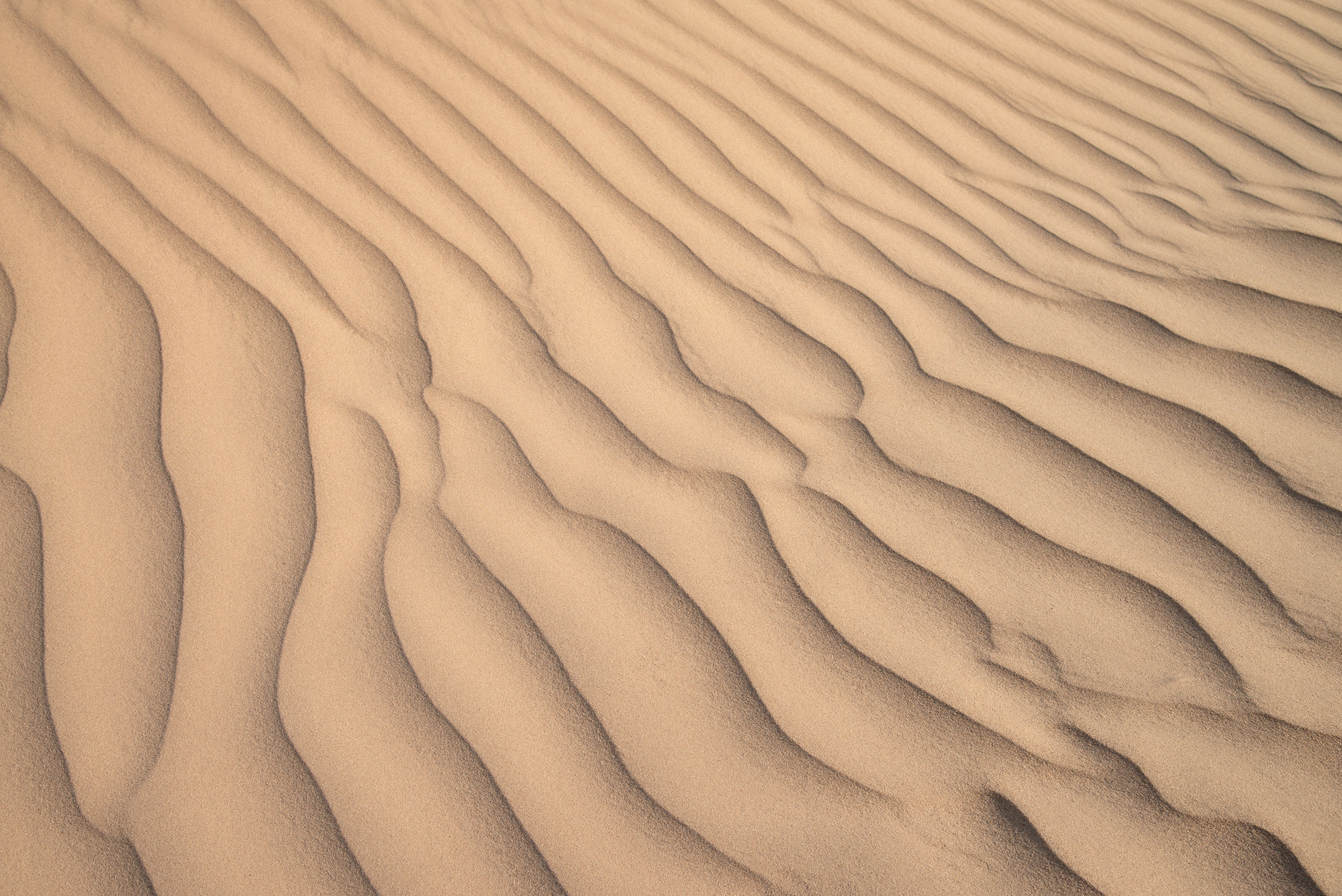 Скачать обои бесплатно Песок, Рельеф, Пустыня, Текстура, Волны, Текстуры картинка на рабочий стол ПК