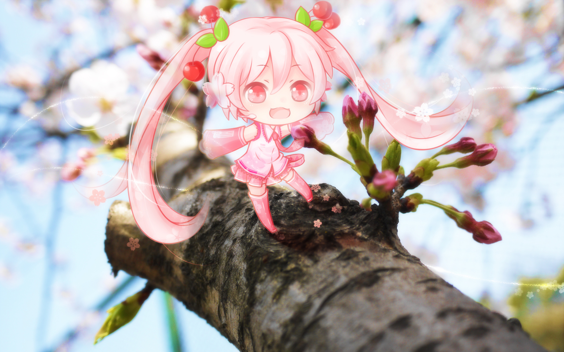無料モバイル壁紙ボーカロイド, アニメ, 桜ミクをダウンロードします。