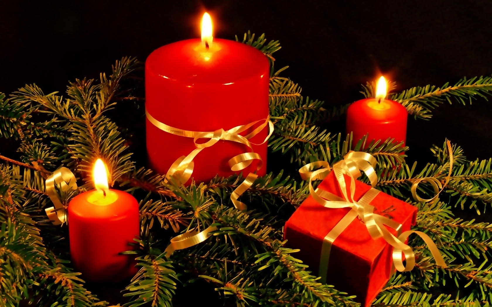 5509 скачать обои елки, свечи, новый год (new year), рождество (christmas xmas), праздники - заставки и картинки бесплатно