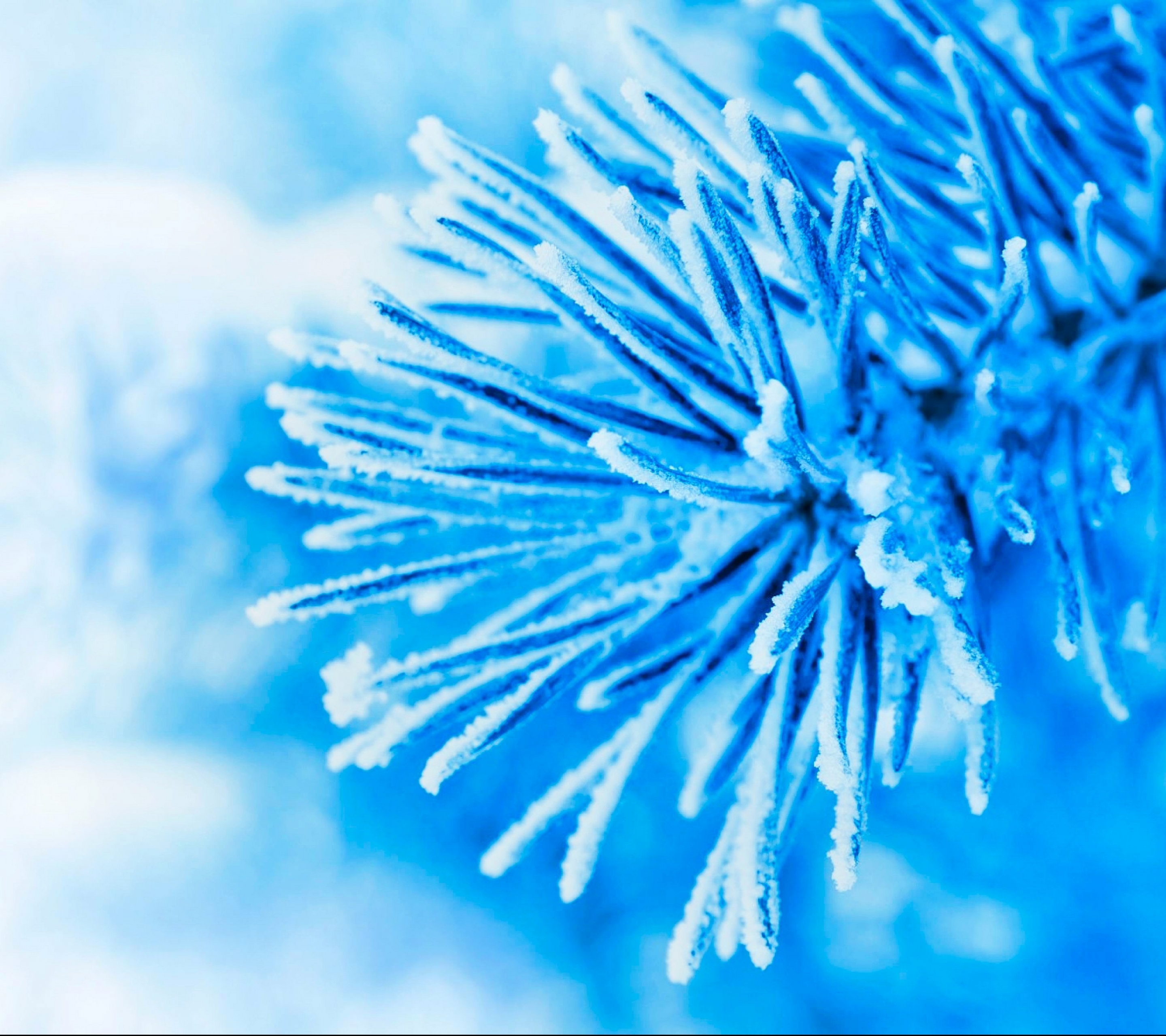 Download mobile wallpaper Winter, Snow, Bokeh, Photography for free.