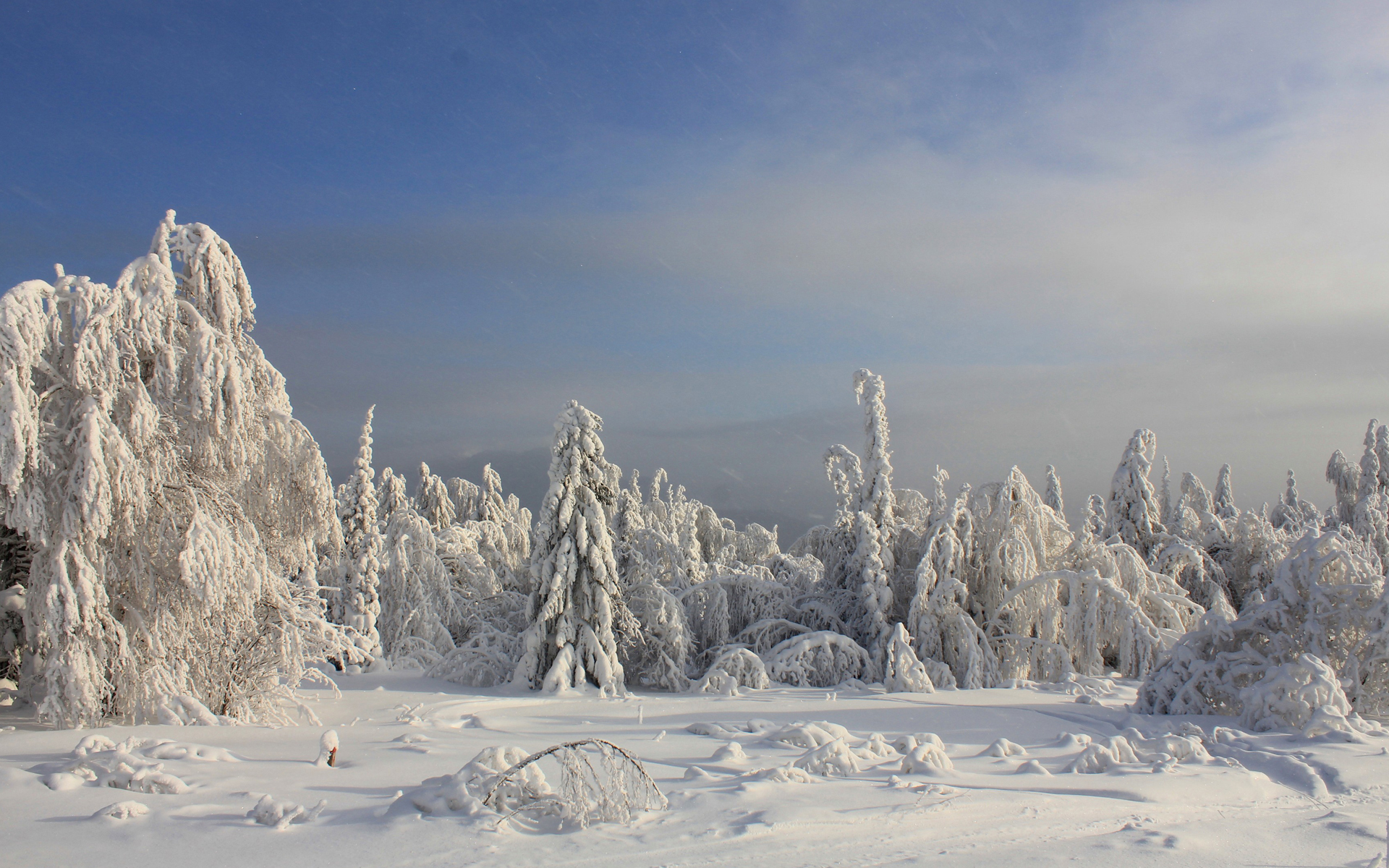 Handy-Wallpaper Winter, Erde/natur kostenlos herunterladen.