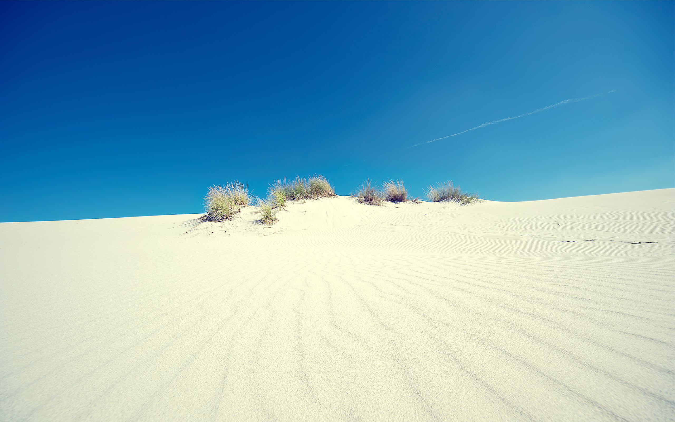 Handy-Wallpaper Steppe, Erde/natur kostenlos herunterladen.