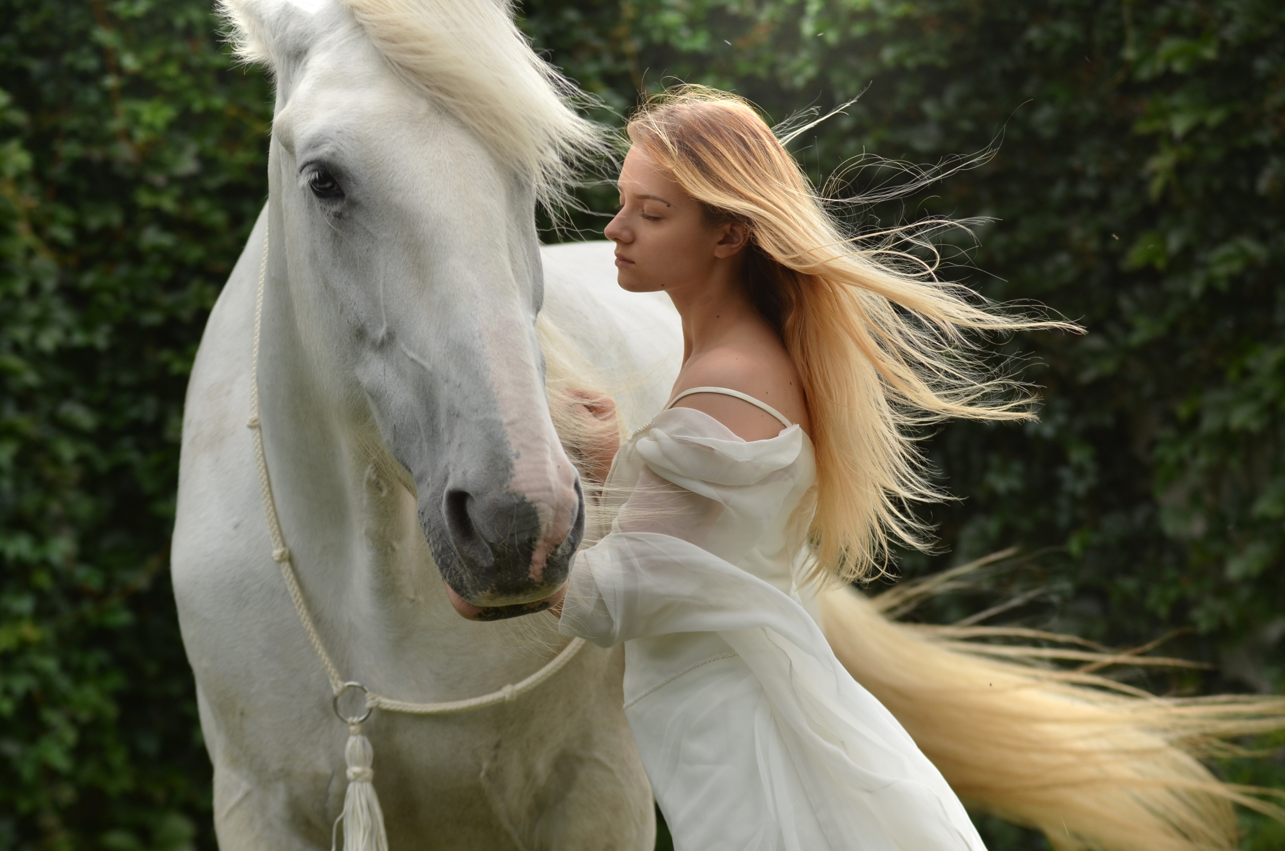 Download mobile wallpaper Horse, Blonde, Model, Women, Long Hair for free.