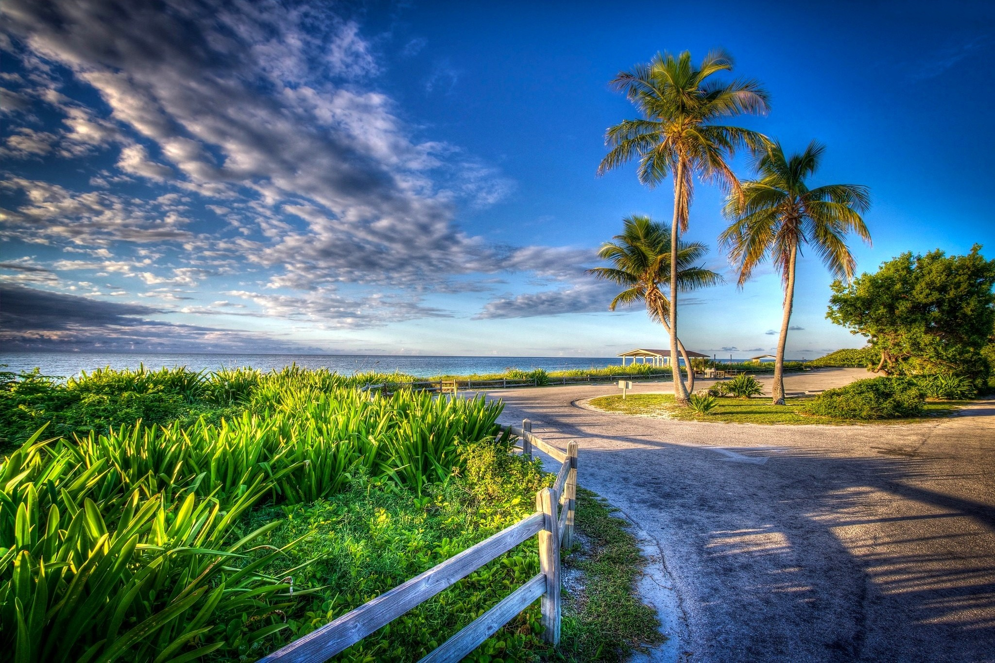 Free download wallpaper Grass, Beach, Road, Fence, Man Made, Palm Tree on your PC desktop