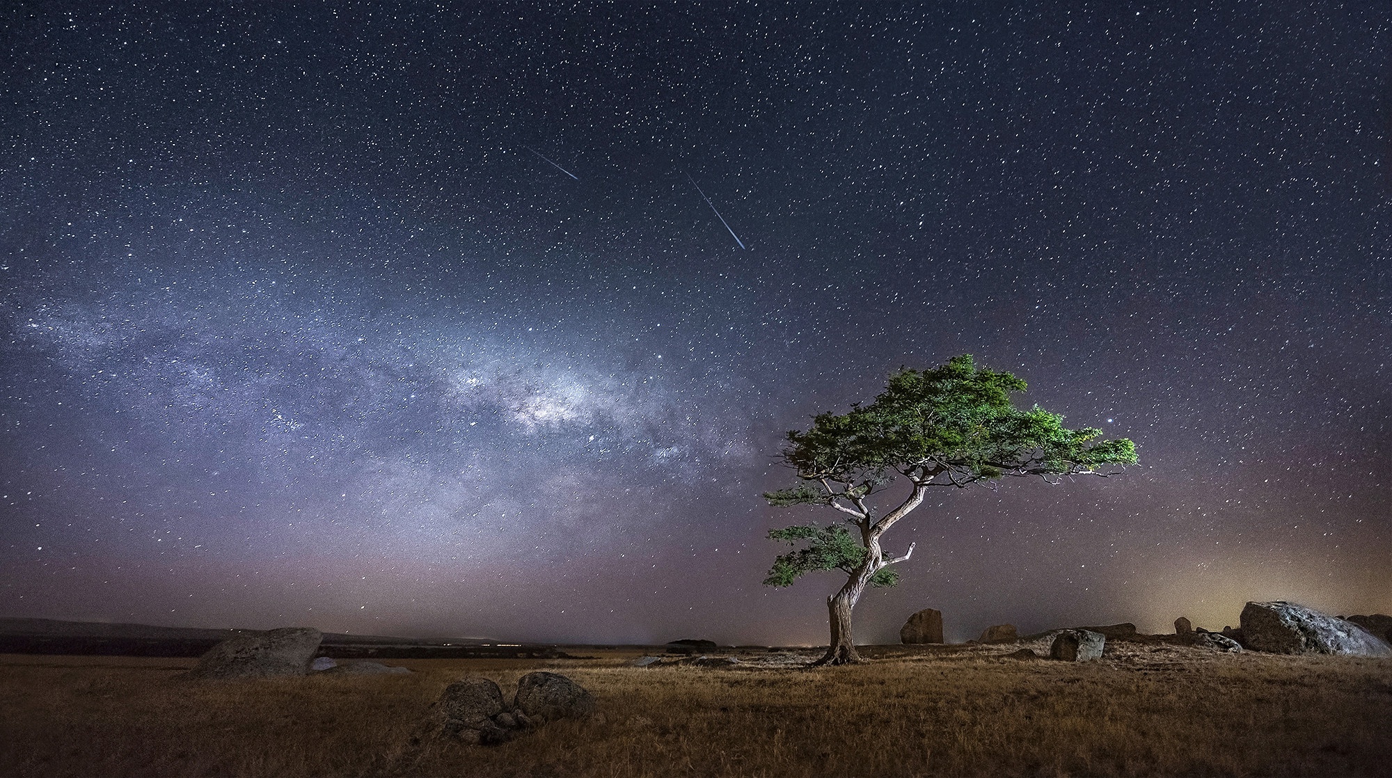 Laden Sie das Sterne, Baum, Nacht, Himmel, Erde/natur, Sternenklarer Himmel-Bild kostenlos auf Ihren PC-Desktop herunter