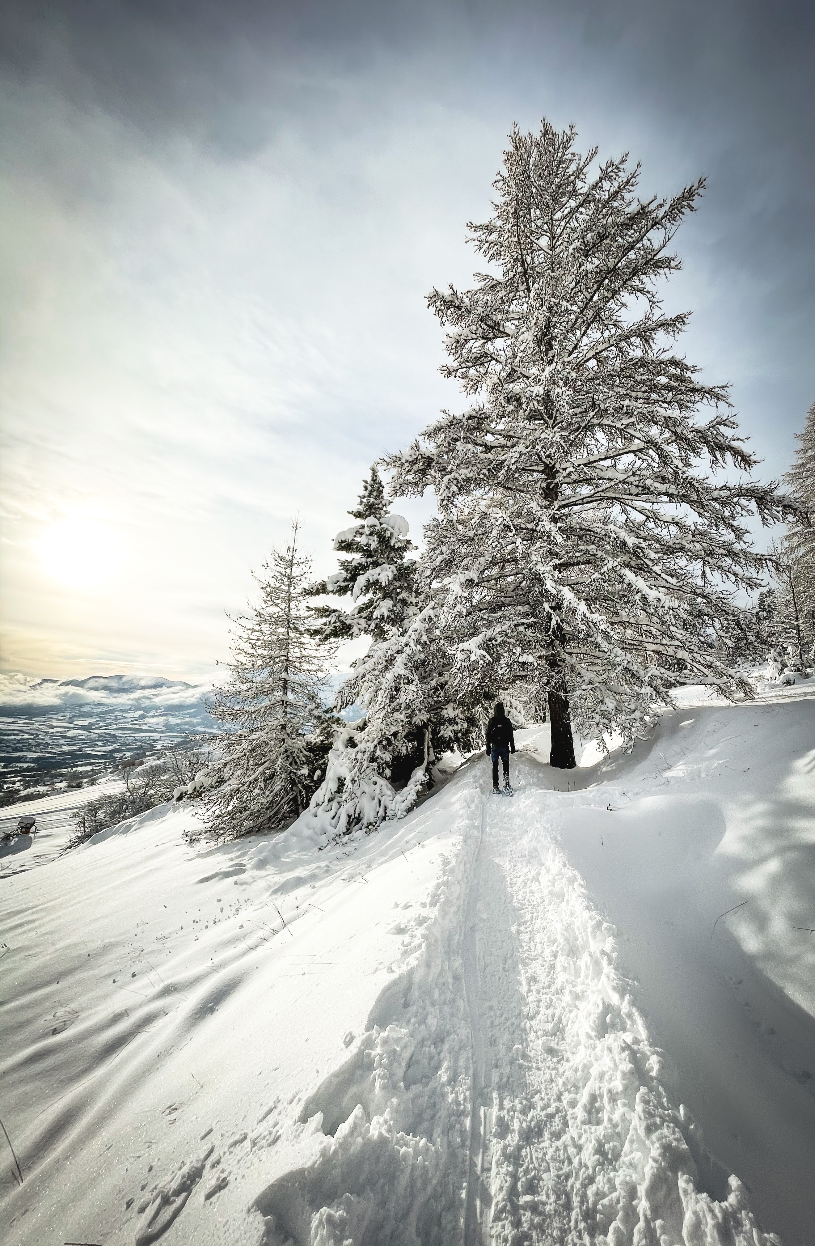Скачать картинку Деревья, Снег, Зима, Разное, Человек, Одиночество в телефон бесплатно.