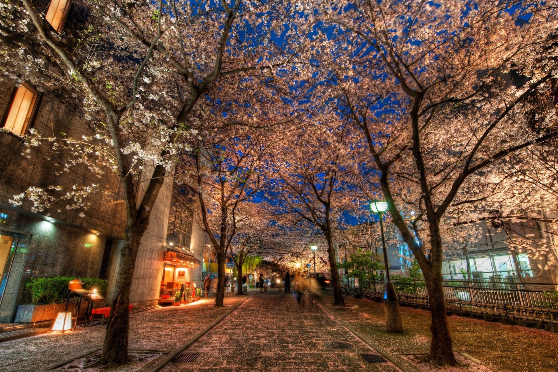 Скачать картинку Города, Япония, Улица, Киото, Сделано Человеком в телефон бесплатно.