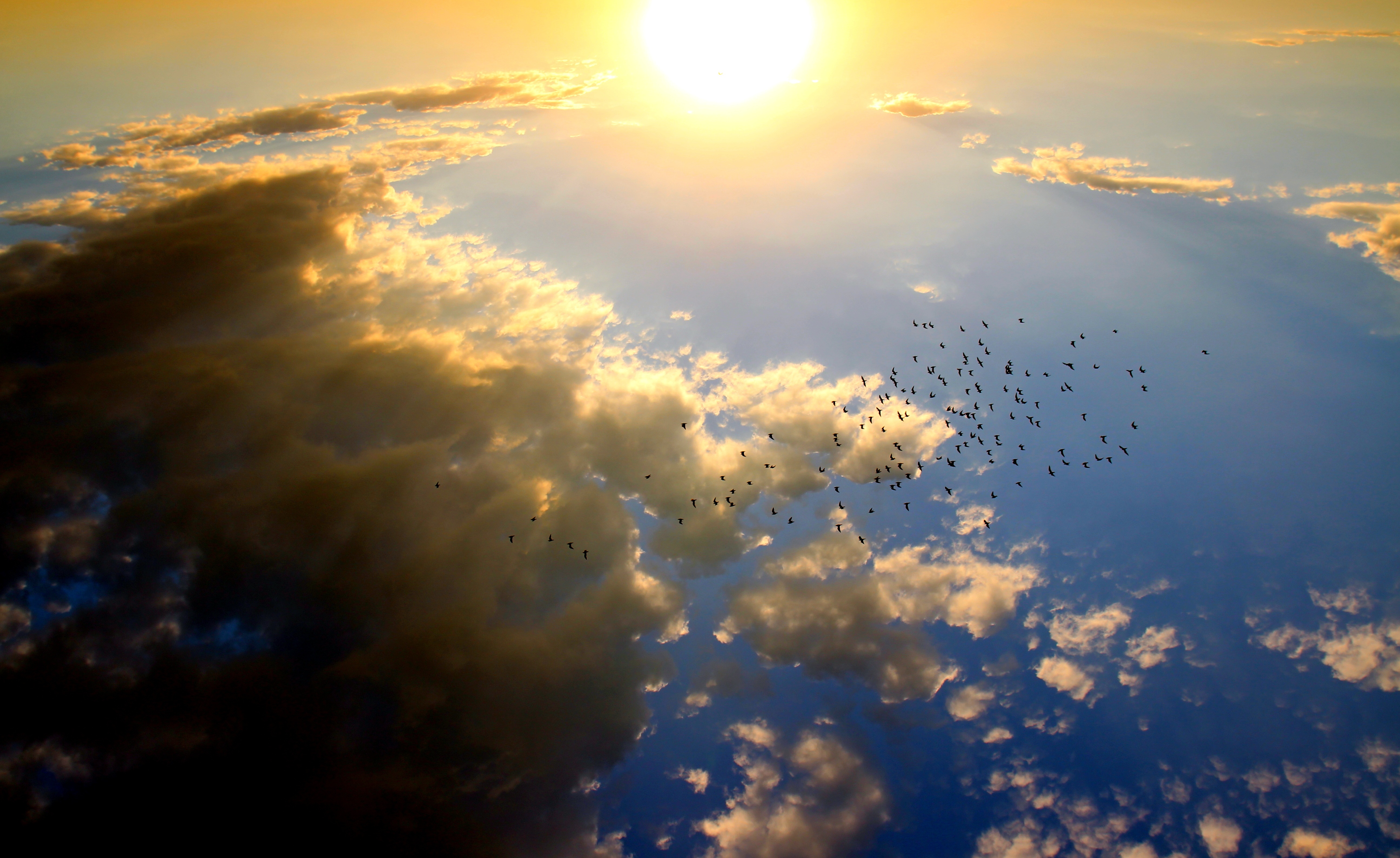 earth, sky, aerial, bird, cloud, flock of birds, sun