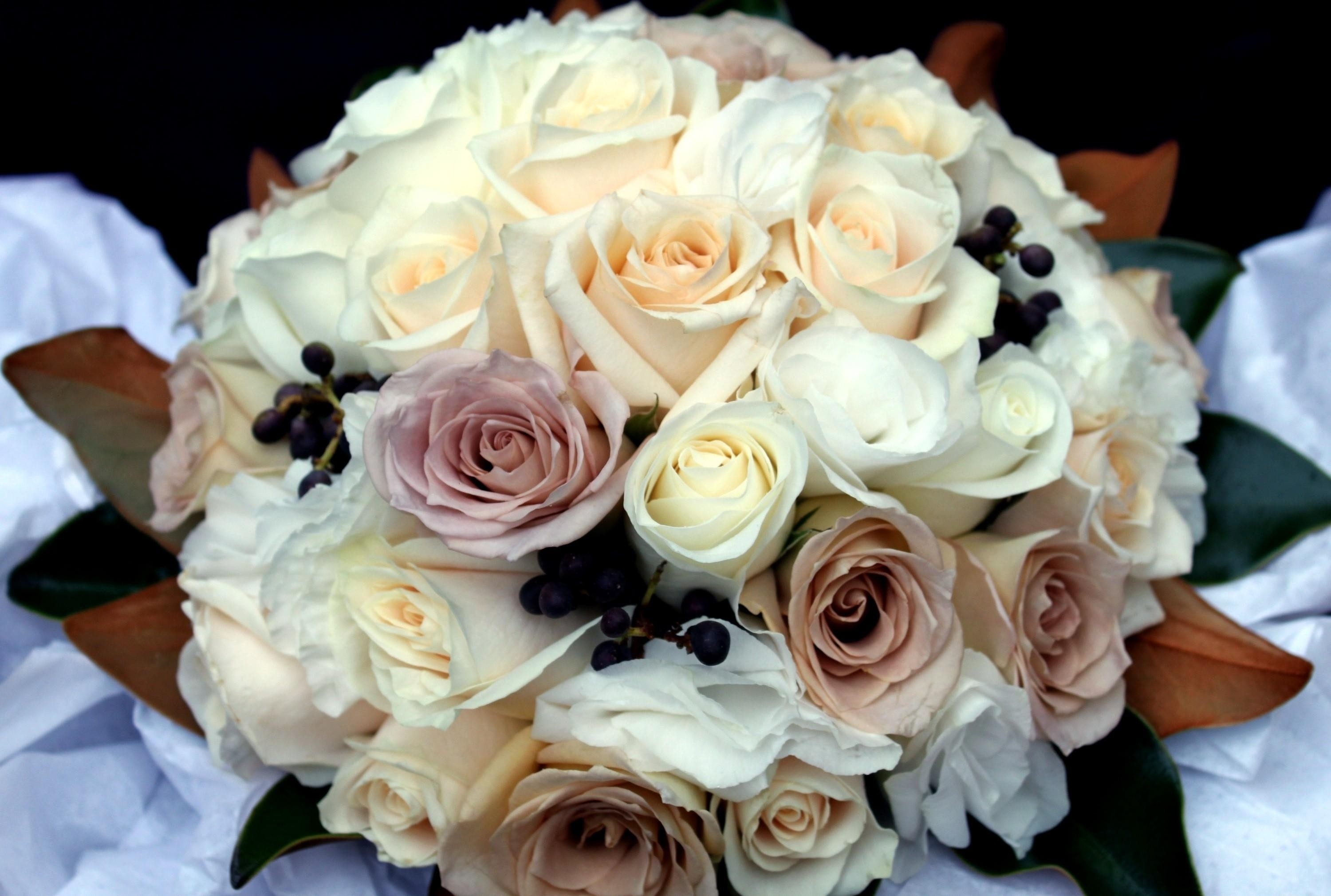 flowers, roses, registration, typography, bouquet, handsomely, it's beautiful desktop HD wallpaper