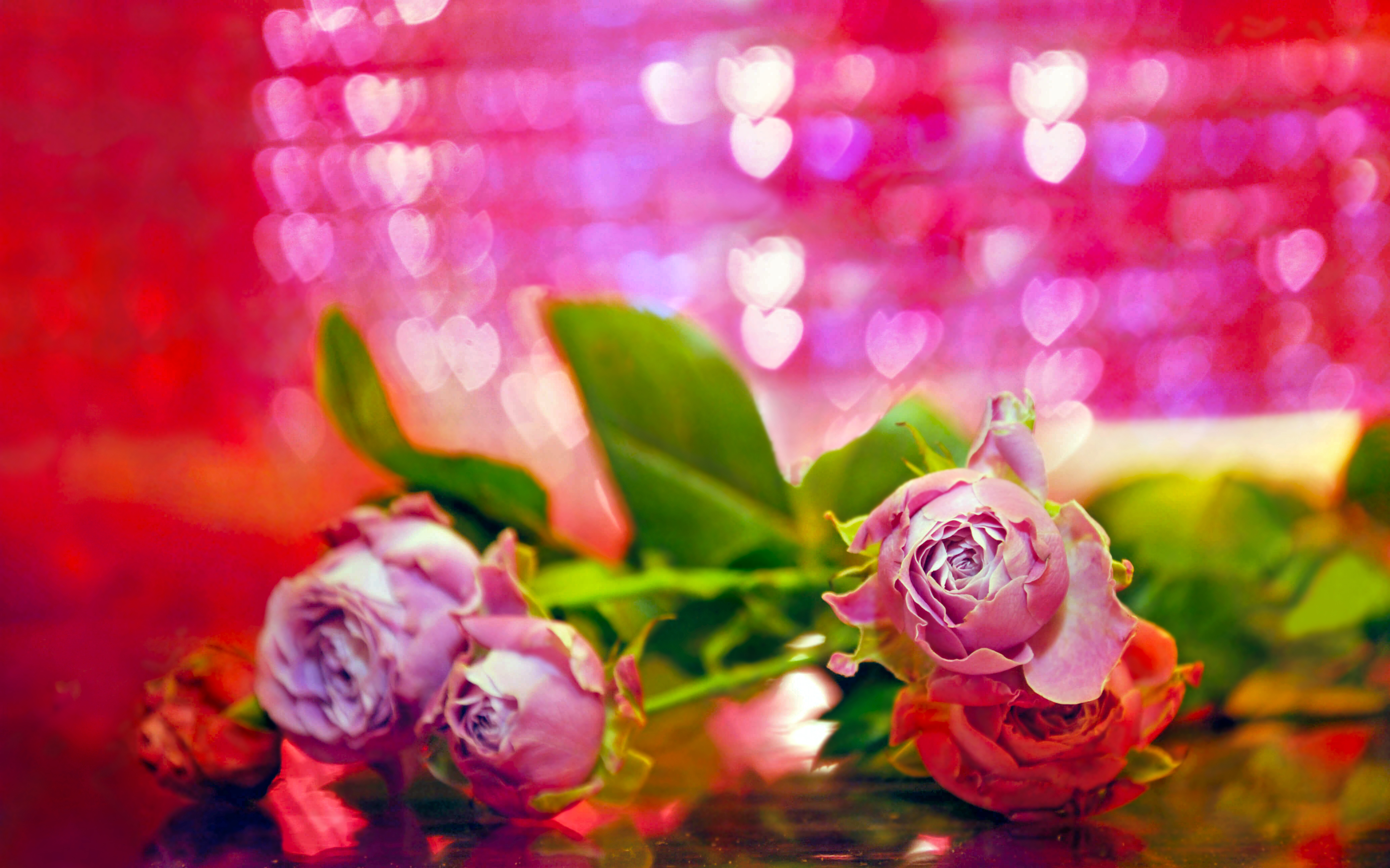 Download mobile wallpaper Valentine's Day, Rose, Holiday, Bouquet, Bokeh, Pink Flower for free.
