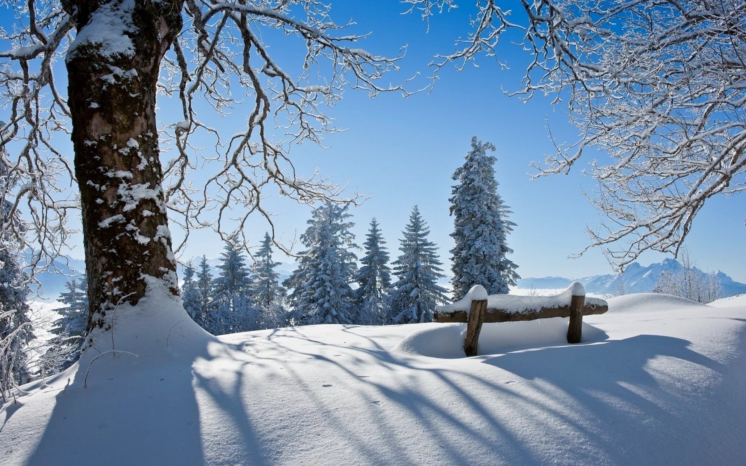 Téléchargez gratuitement l'image Hiver, Photographie sur le bureau de votre PC