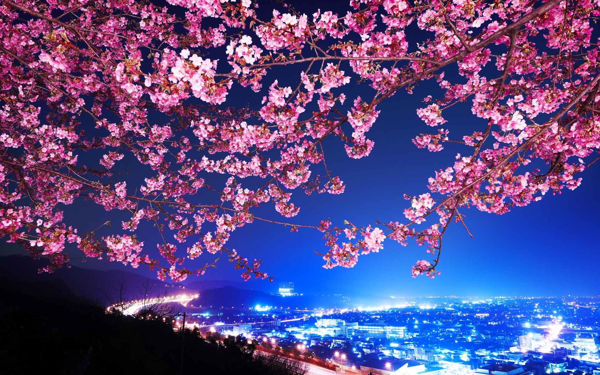 Download mobile wallpaper Cities, Landscape, Flowers, Trees, Night for free.
