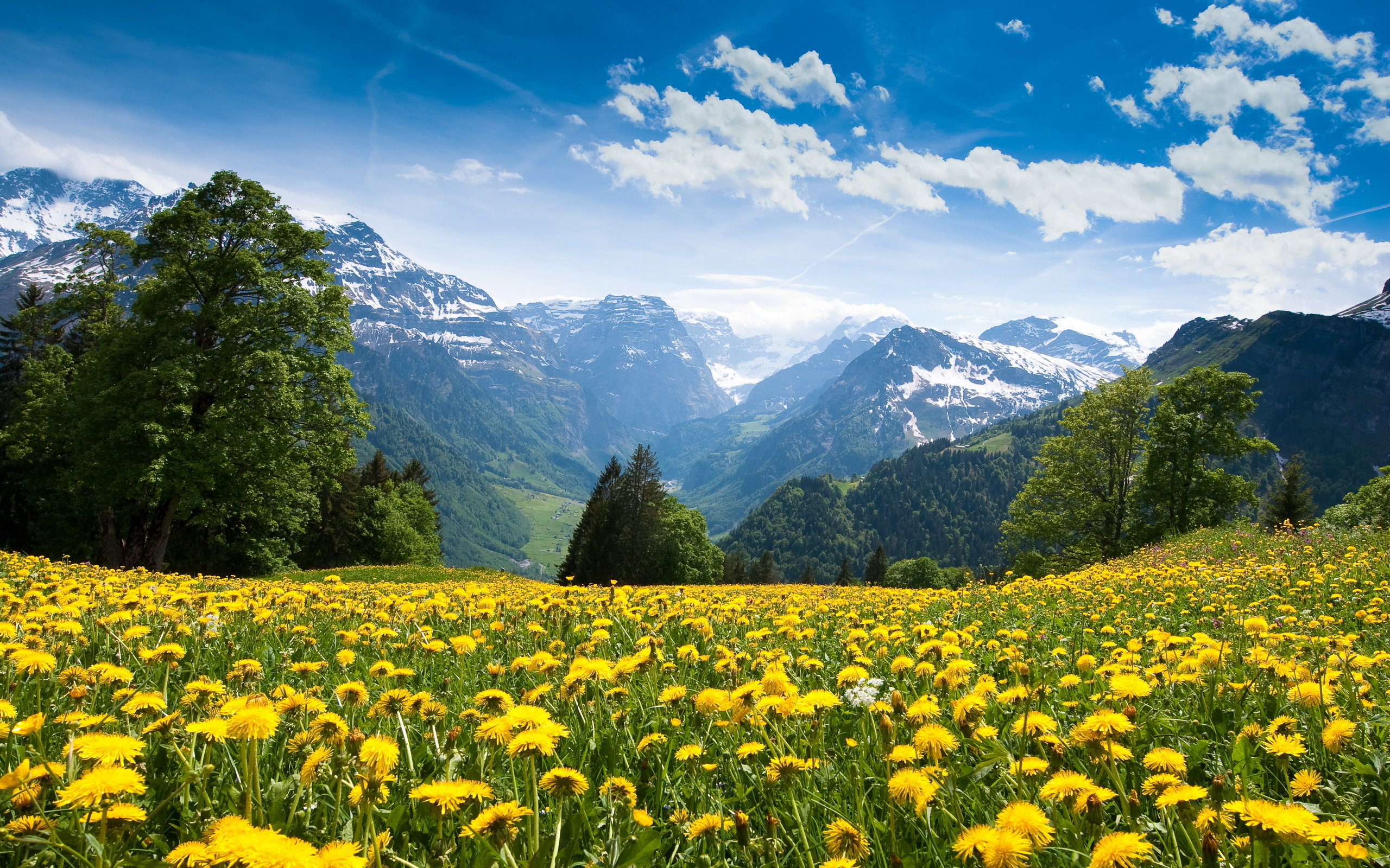 Téléchargez gratuitement l'image Paysage, Terre/nature sur le bureau de votre PC