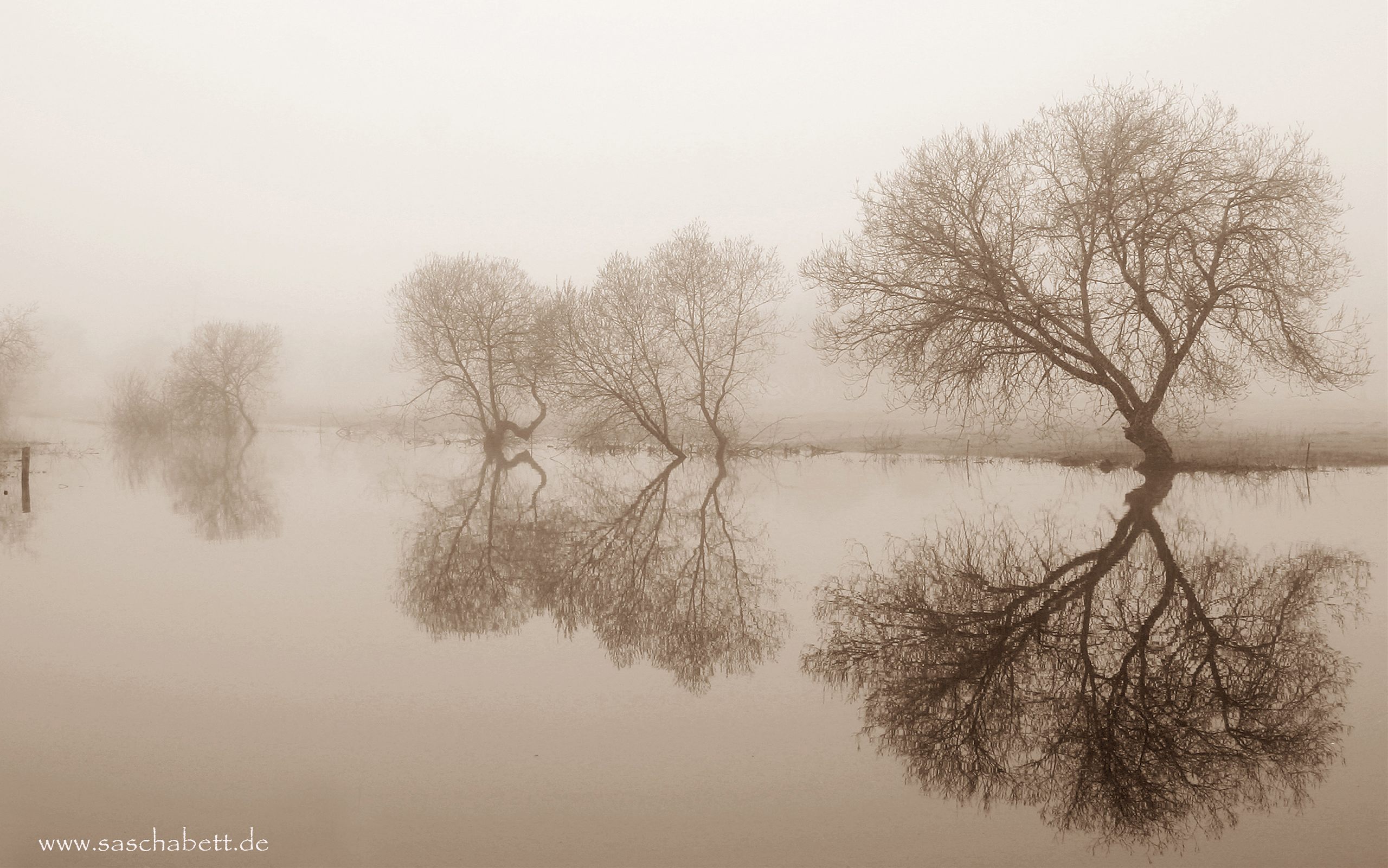 Handy-Wallpaper Nebel, Erde/natur kostenlos herunterladen.